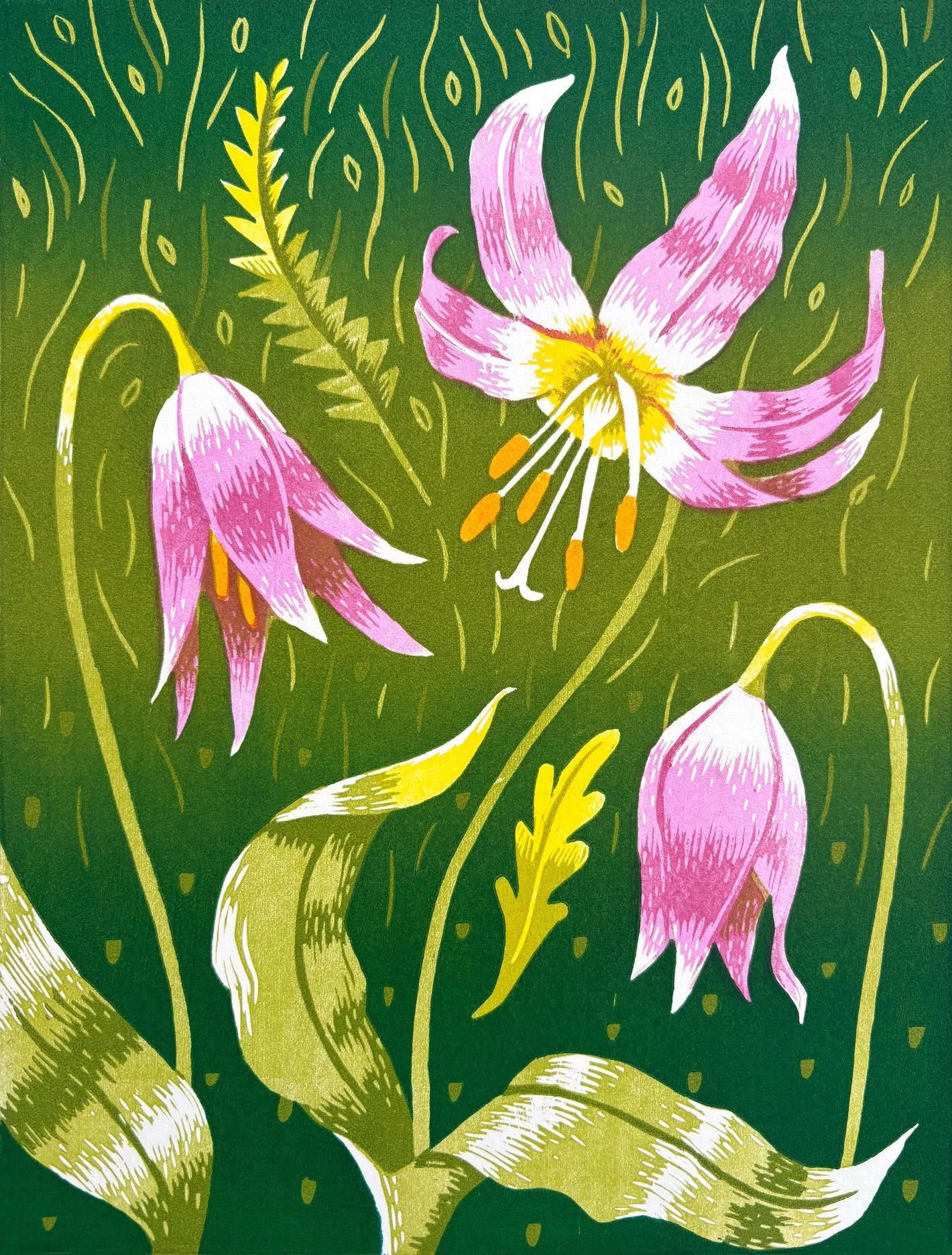 Quinault Fawn Lily: 12" x 9", Edition of 15