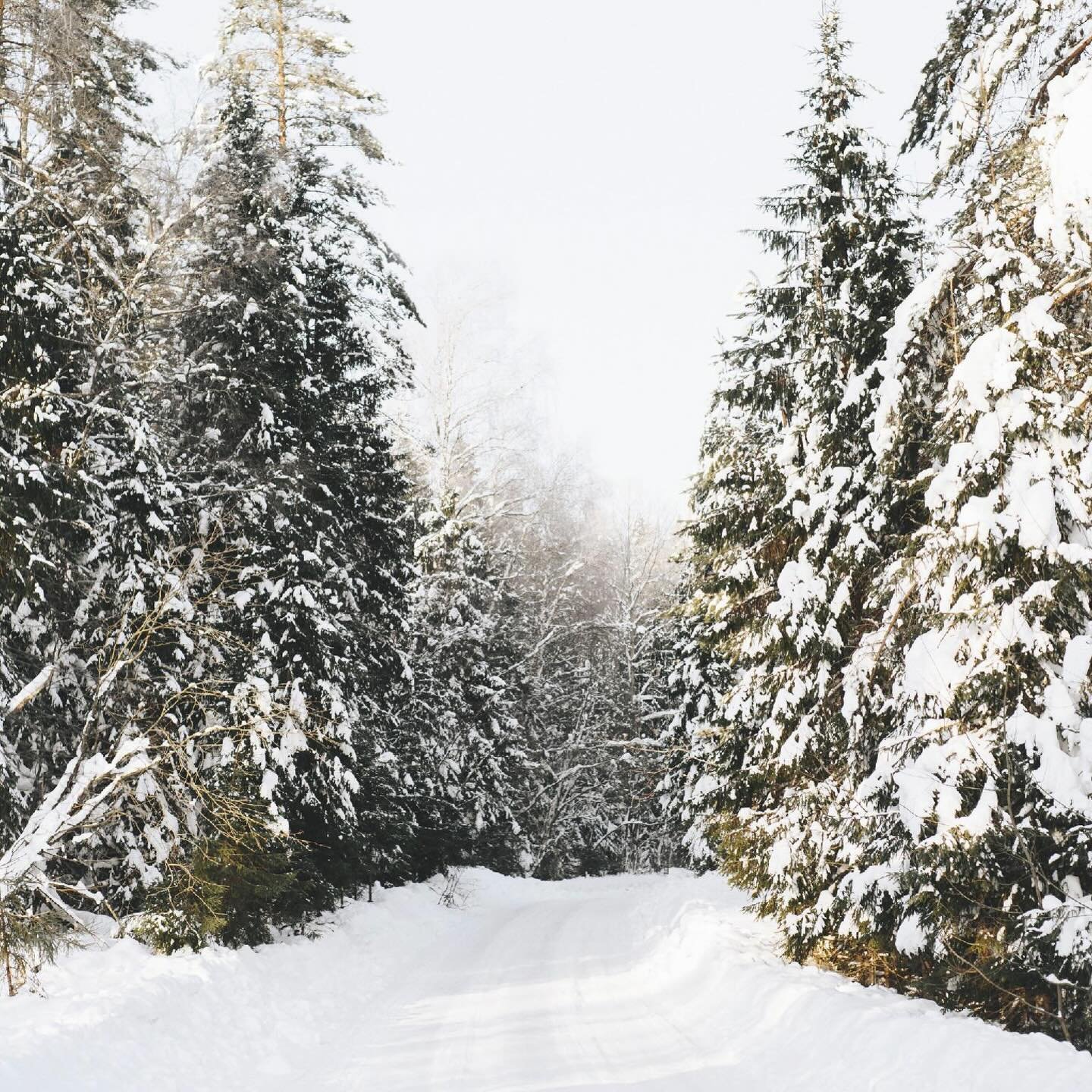 Snow day! ❄️✨

We&rsquo;re pressing pause today to keep everyone safe and cozy. Take the extra rest, enjoy the magic, and we&rsquo;ll be back at it together tomorrow.