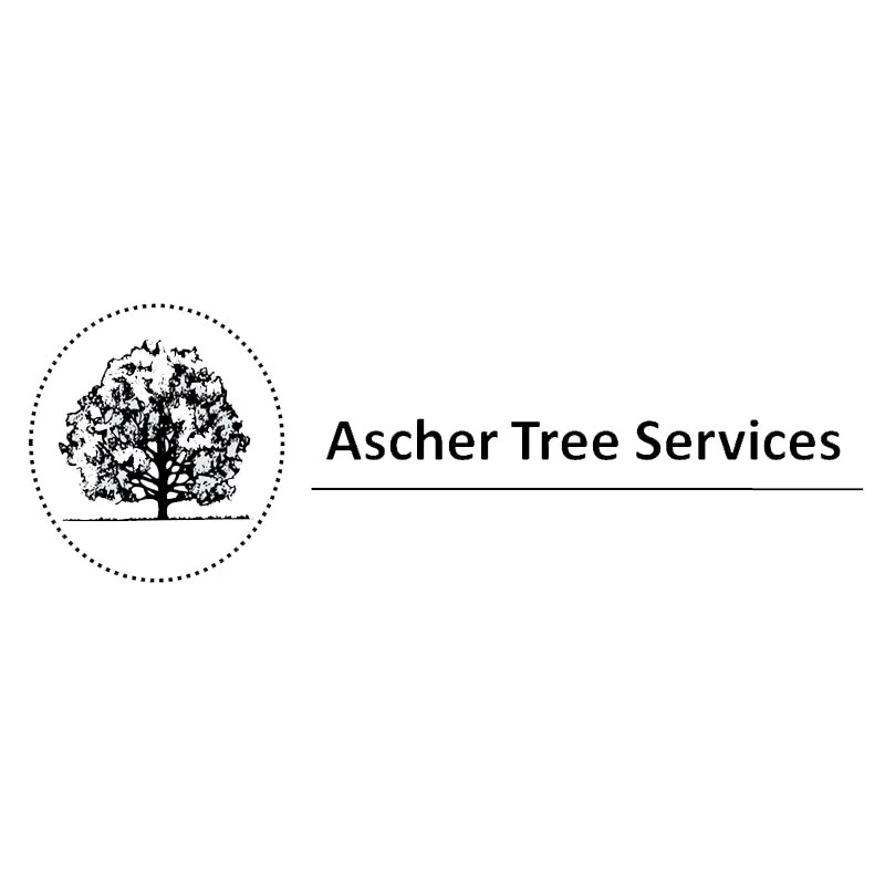 FCFair_Ascher.jpg