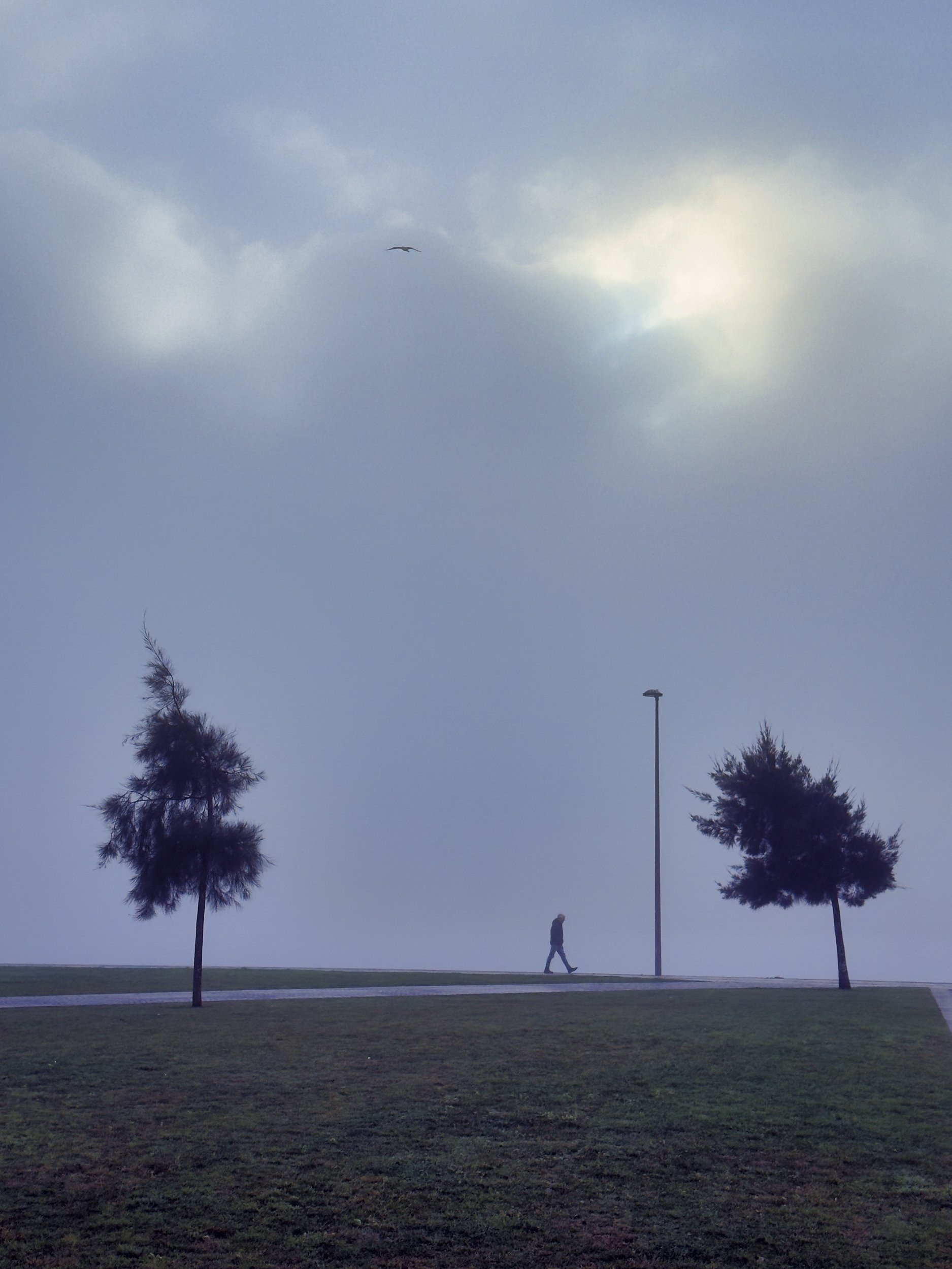 "Fog Walk" by James Wolfgang Rogers