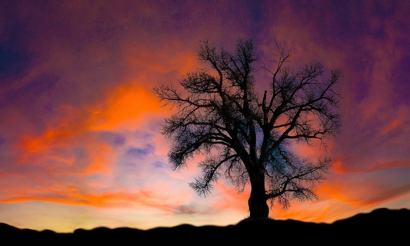 From our &quot;Colorscapes&quot; Exhibit gallery, &quot;Bare Tree at Sunset&quot; by Gordon Middleton. Congratulations to the winners and all the photographers whose work we&rsquo;re honored to include in this show!

#fineartphotography #color #color