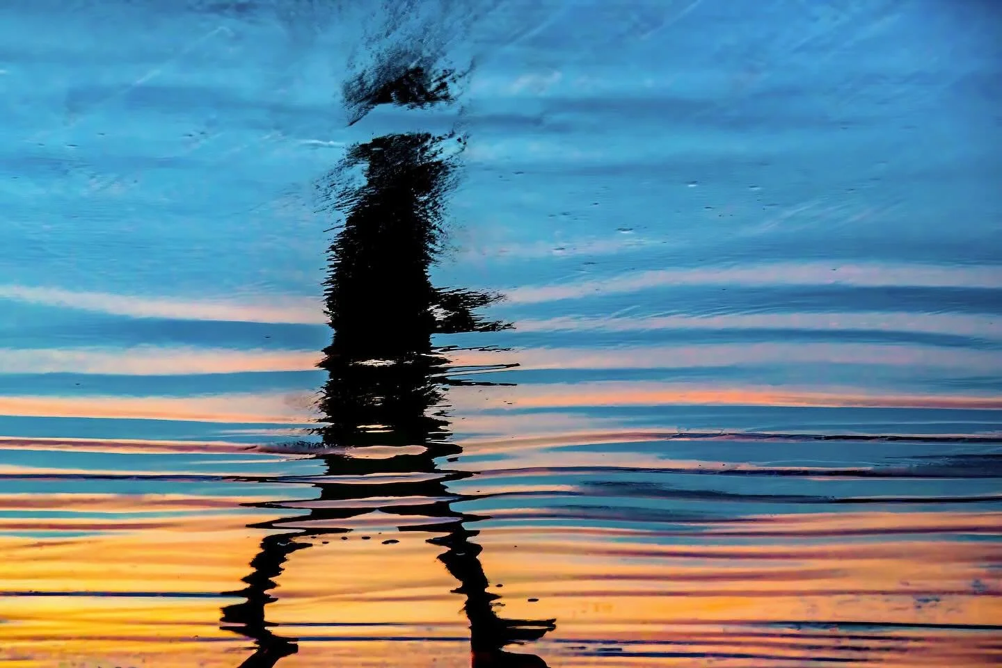 🥈 Third Place Spotlight
We&rsquo;re thrilled to feature &ldquo;Beach Walker&rdquo; by Nicole Mordecai @createwithphotos , winner of Third Place in our &quot;Heat and Light&quot; exhibit.

Explore this and more radiant work in the Heat and Light exhi