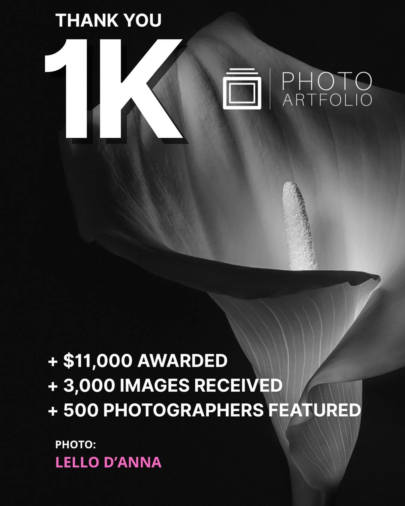 We&rsquo;re celebrating our first 1K followers! 🎉

Thank you to every photographer who has submitted, shared, followed, and believed in what we&rsquo;re building. When we launched Photo Artfolio, our goal was simple: to create an inclusive space whe