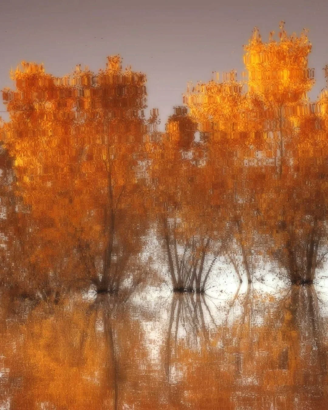📷 Modern Muse Exhibit
&ldquo;Bosque Dream&rdquo; by Gan Barber (@ganbarber)

Like a memory half-awake, the forest drifts into abstraction &mdash; gold dissolving into reflection, shapes bending into feeling.

A landscape made of intention and wonder
