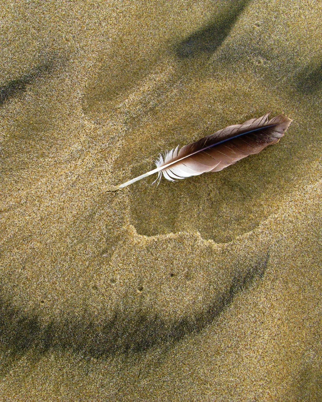 📷 Memory in Moment Exhibit
&ldquo;Water&rsquo;s Memory&rdquo; by Douglas Yates 

A single feather resting where water once passed &mdash; a delicate trace of movement, reminding us that even what disappears leaves a mark.

🖤 Our new call for entry 