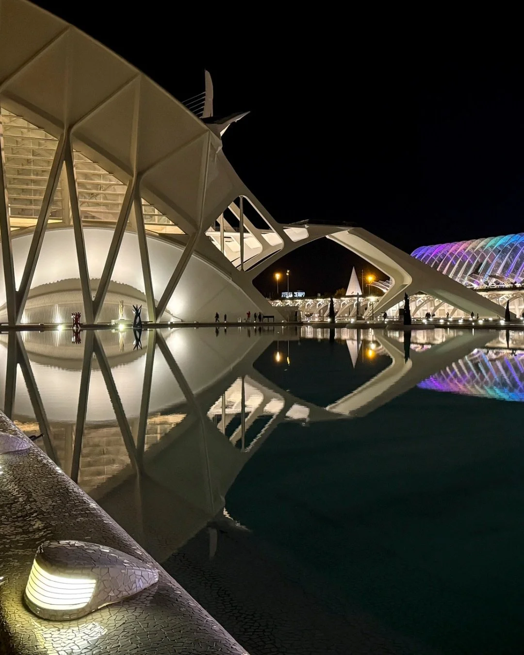 📷 Nocturne: Photographs After Dark Exhibit
&ldquo;Valencia&rdquo; by Richard Stanley &mdash; Honorable mention

A vision of the future mirrored in still water, where architecture becomes sculpture and light dances with reflection. The night softens 