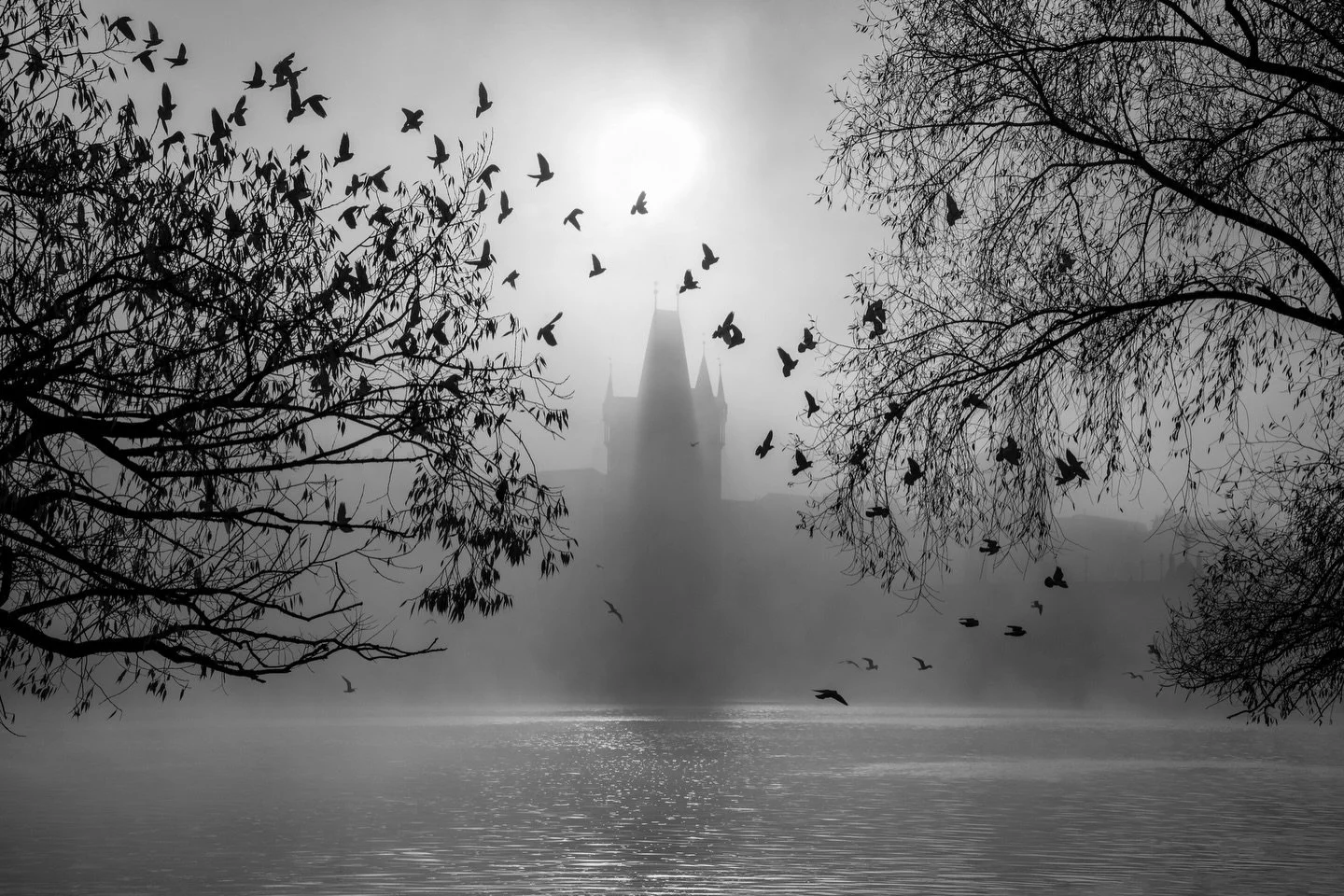 📷 Travel Dreams Exhibit
&ldquo;Into the Fog&rdquo; by @valeriedyerphotography&mdash; Honorable mention

A quiet passage between water and sky, where silhouettes dissolve and the world softens into mystery. Birds rise, the shoreline fades, and a dist