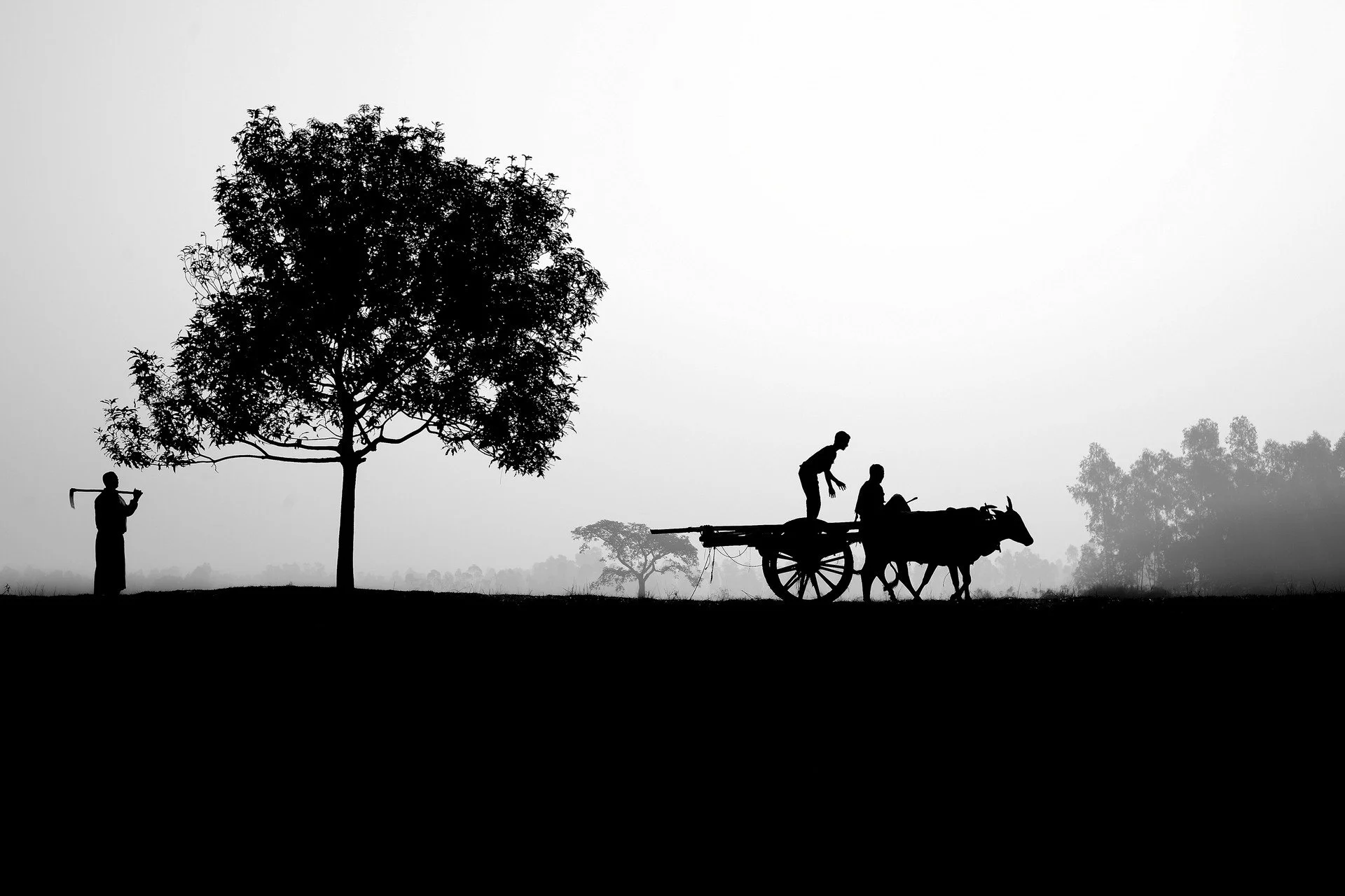 📷 B&amp;W: The Poetry of Light &amp; Shadow
&ldquo;Beginning of the Day&rdquo; by Muhammad Amdad Hossain (@amdad.photo)

A quiet horizon where life unfolds in silhouette. Gesture, labor, movement &mdash; small actions carried by the rhythm of the mo