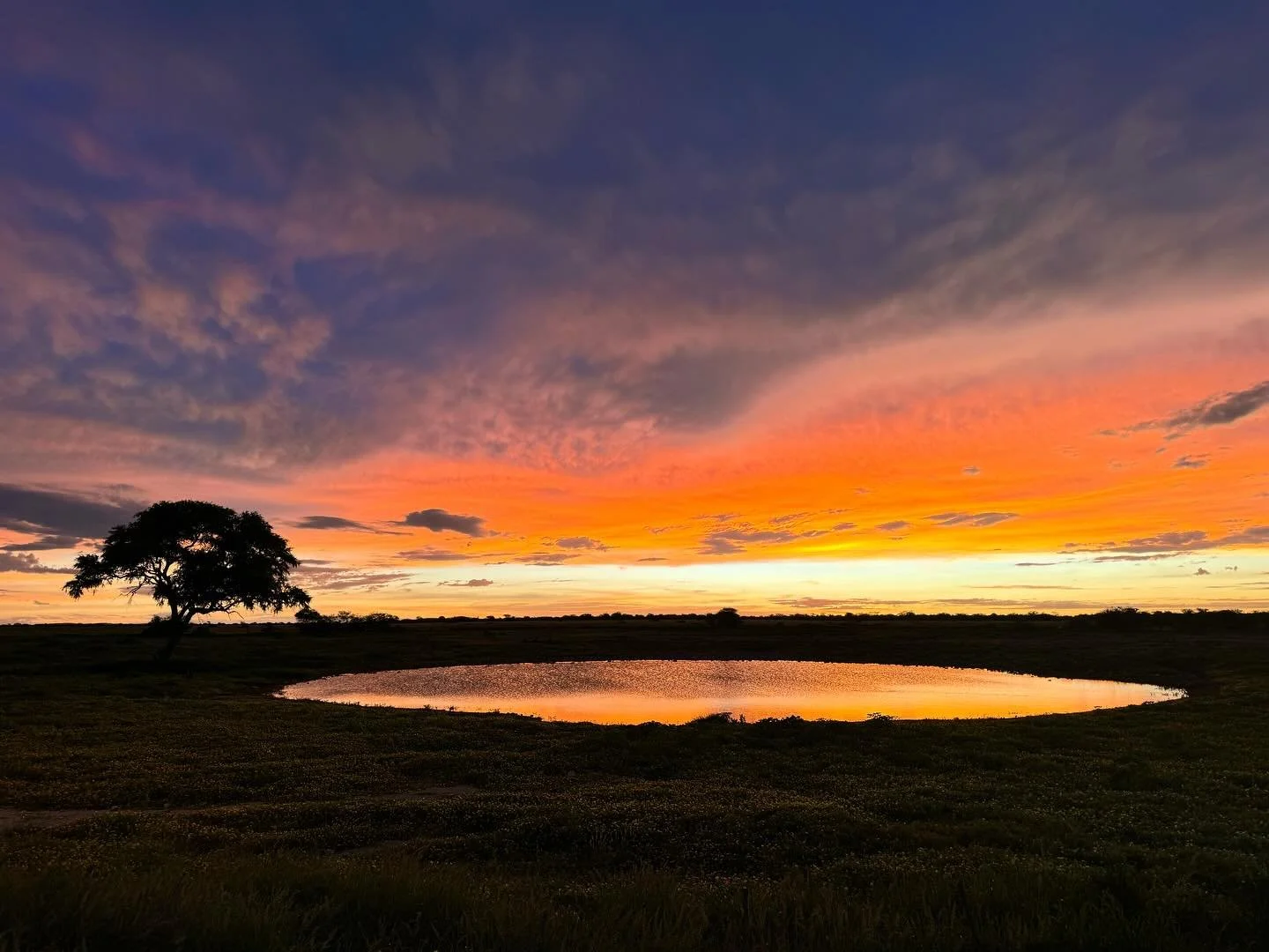 Photo inspiration of the day: Same waterhole, two different worlds. At sunset, it glows with fire and shadow, a perfect mirror of the sky. By day, it&rsquo;s calm and clear, framed by blue skies and golden buttercups. Light changes everything!

#Etos