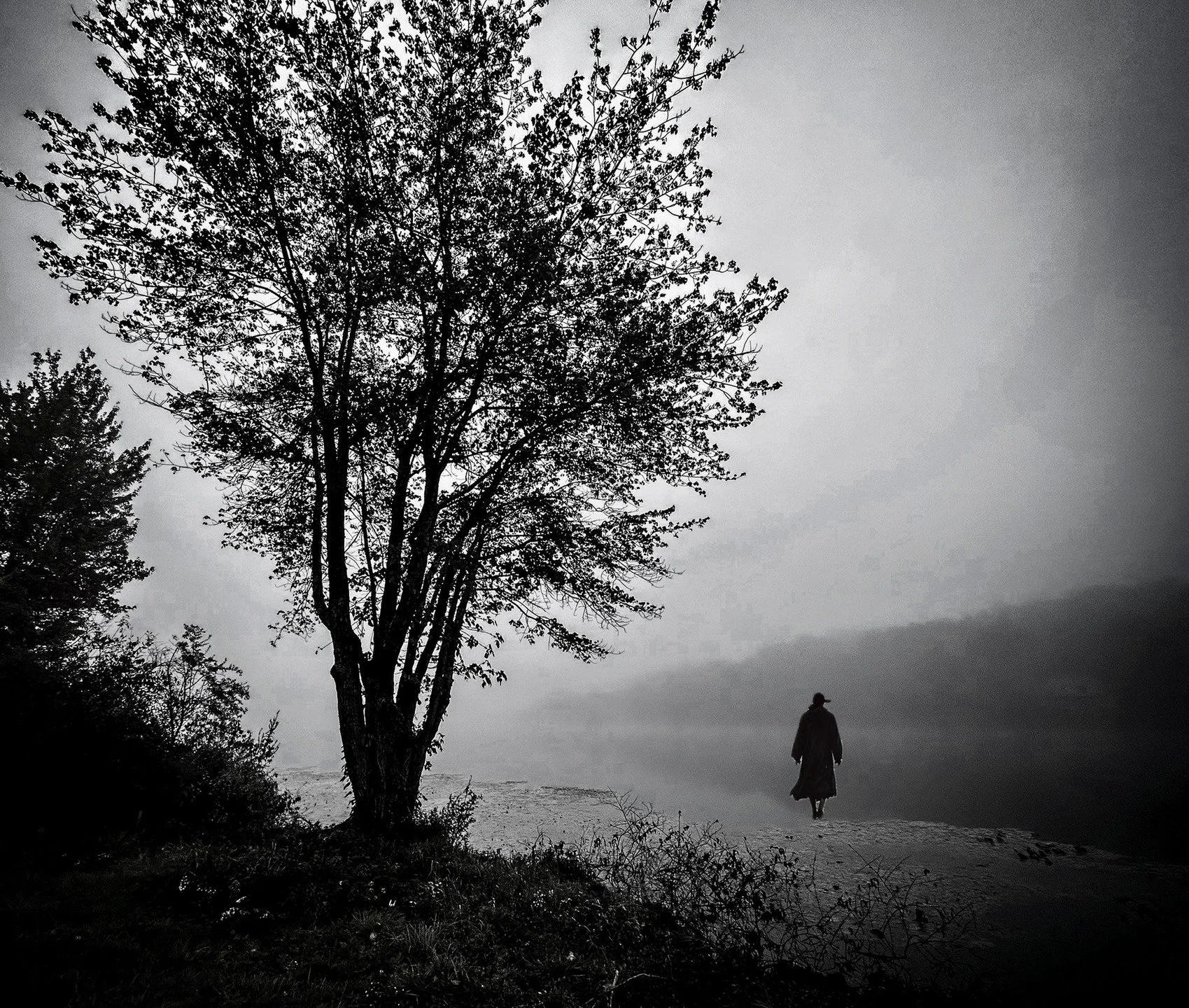 📷 B&amp;W: The Poetry of Light &amp; Shadow
&ldquo;Wanderer&rdquo; by Kalib Bryan
A lone figure moves through the mist beside a quiet tree, the landscape dissolving into fog. The scene feels timeless &mdash; a simple walk that becomes a meditation o