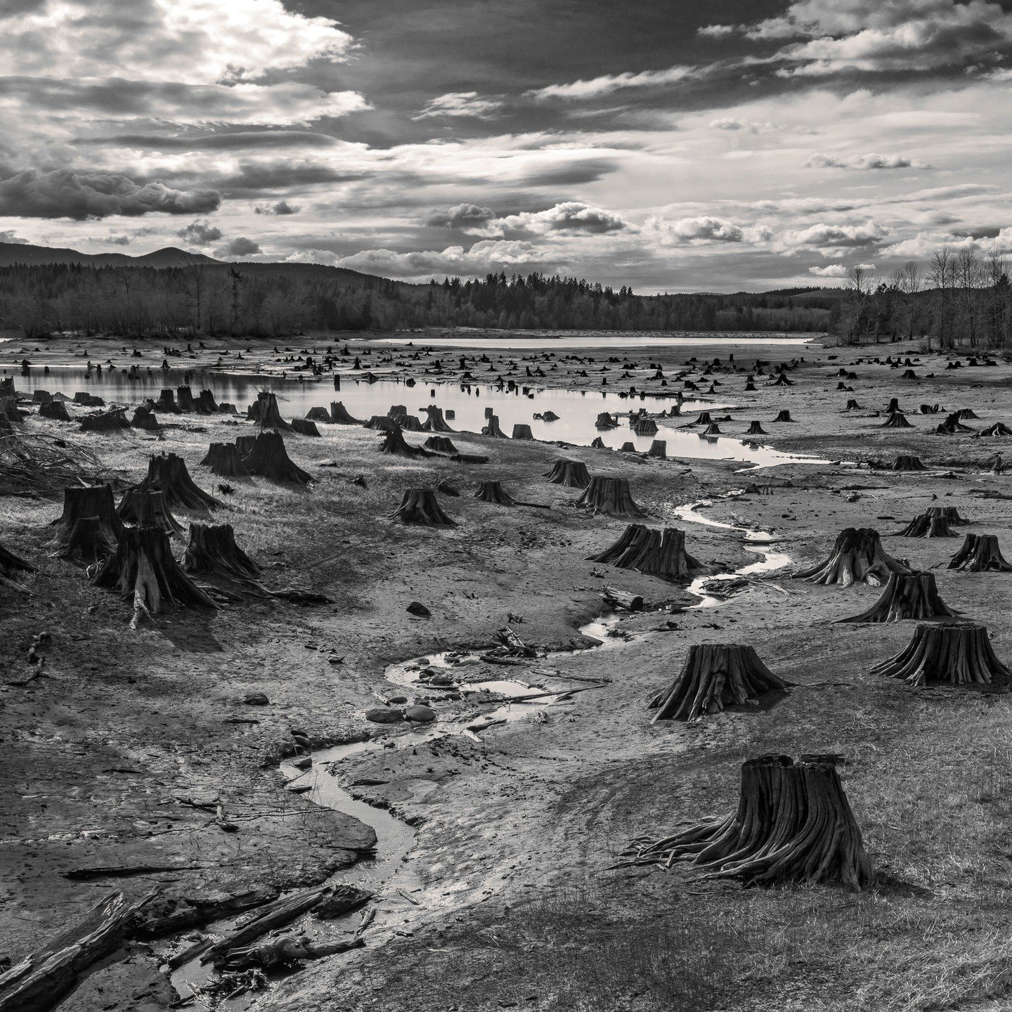 📷 B&amp;W: The Poetry of Light &amp; Shadow
&ldquo;Stumps, Nisqually River Dam, Alder Lake, Washington&rdquo; by Hal Gage @halgage 

An exposed landscape reveals hundreds of tree stumps where a forest once stood. The winding stream and quiet water c