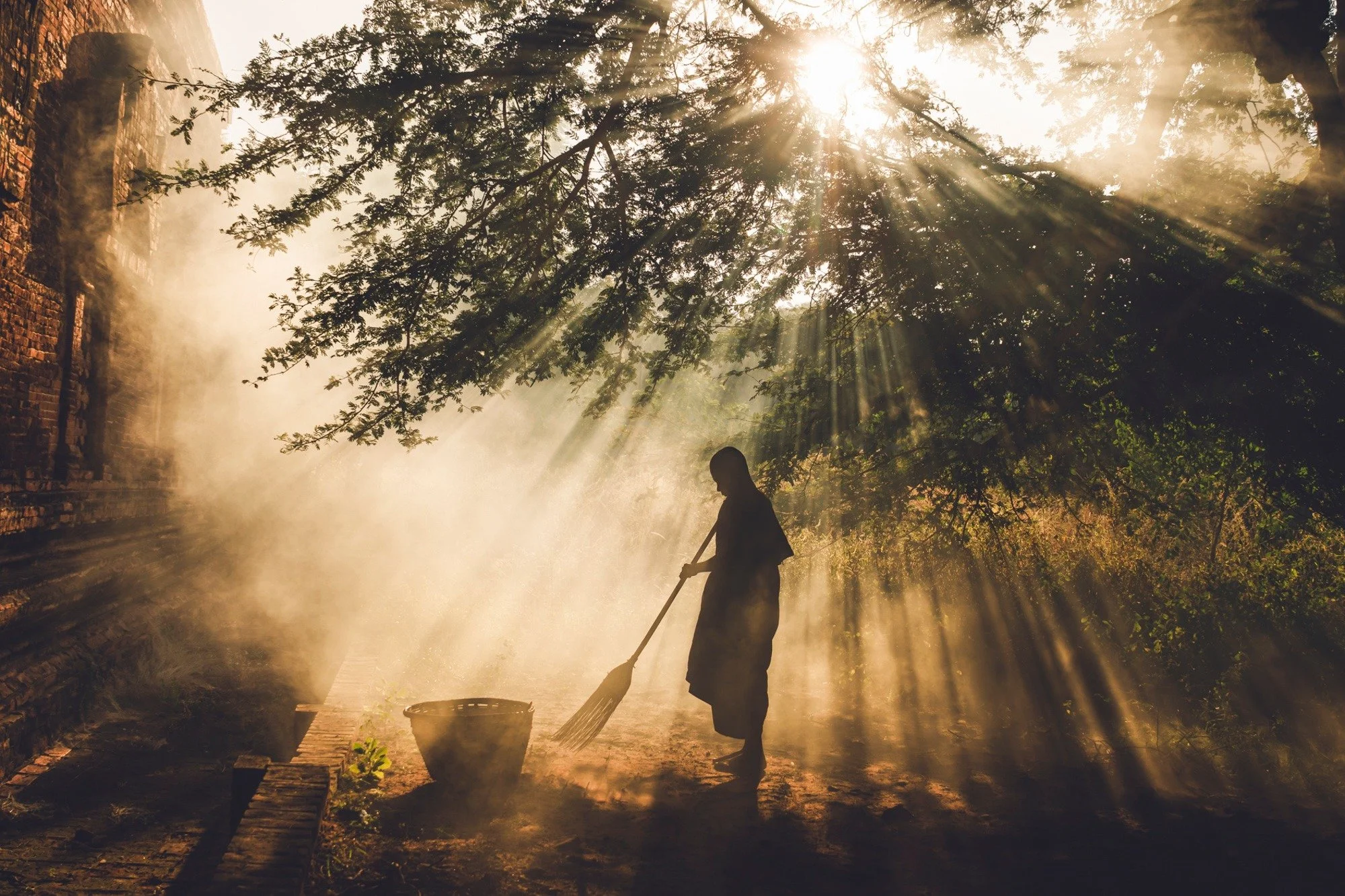 📷 Sweeping Beneath the Sacred Light
Photo by Giovanna Aryafara

Light pours through the trees like something sacred.
A quiet gesture, a daily ritual, transformed into poetry.
Some photographs don&rsquo;t just capture a moment&hellip;
they hold a fee