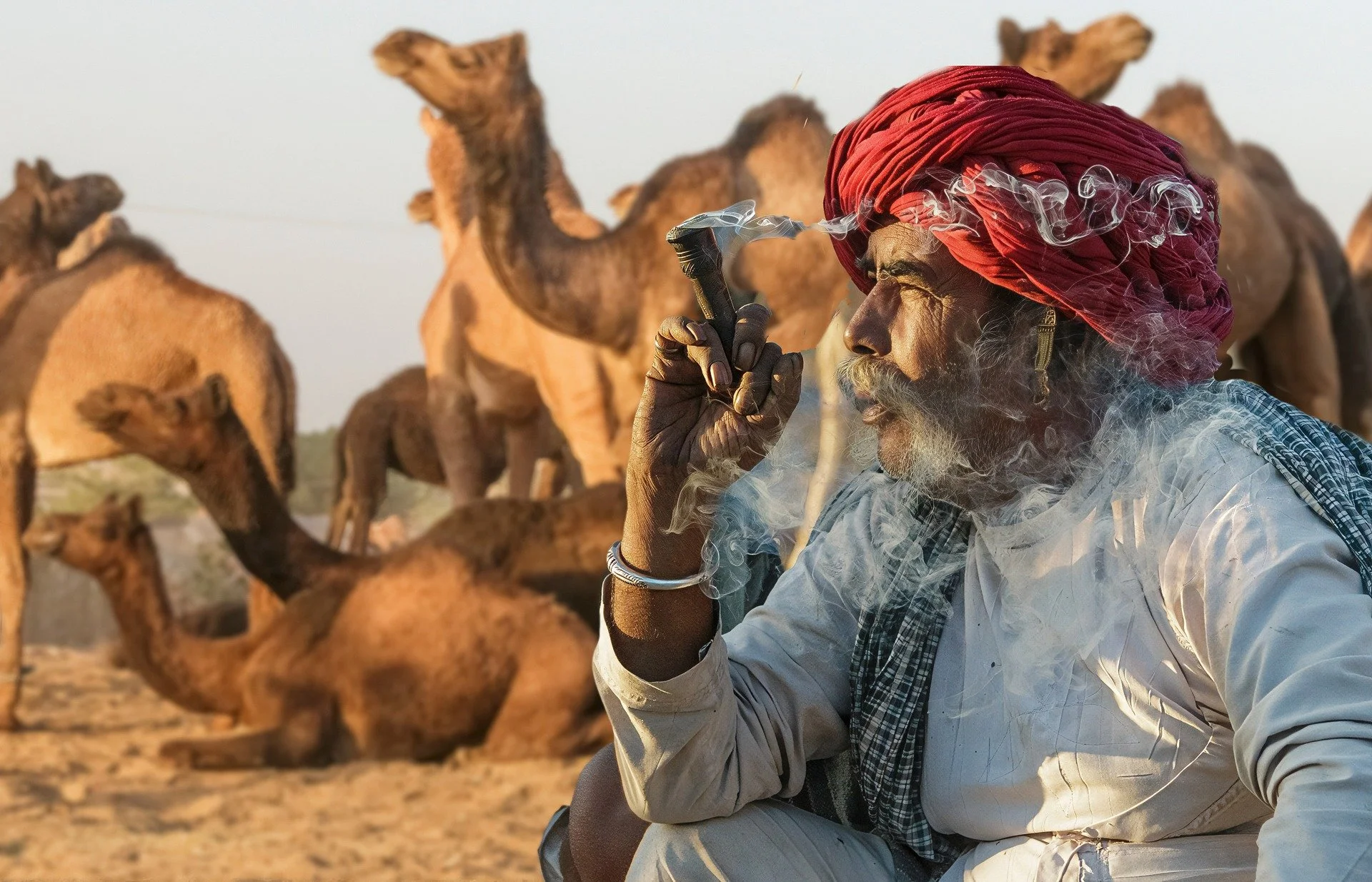 📷 "Pushkar Camel Market" by Michael Holtby
The Human Portrait Exhibit

Smoke drifts. Camels gather. The desert breathes.

In the midst of movement and noise, a moment of quiet reflection emerges. Every line, every wrinkle, every glance spe