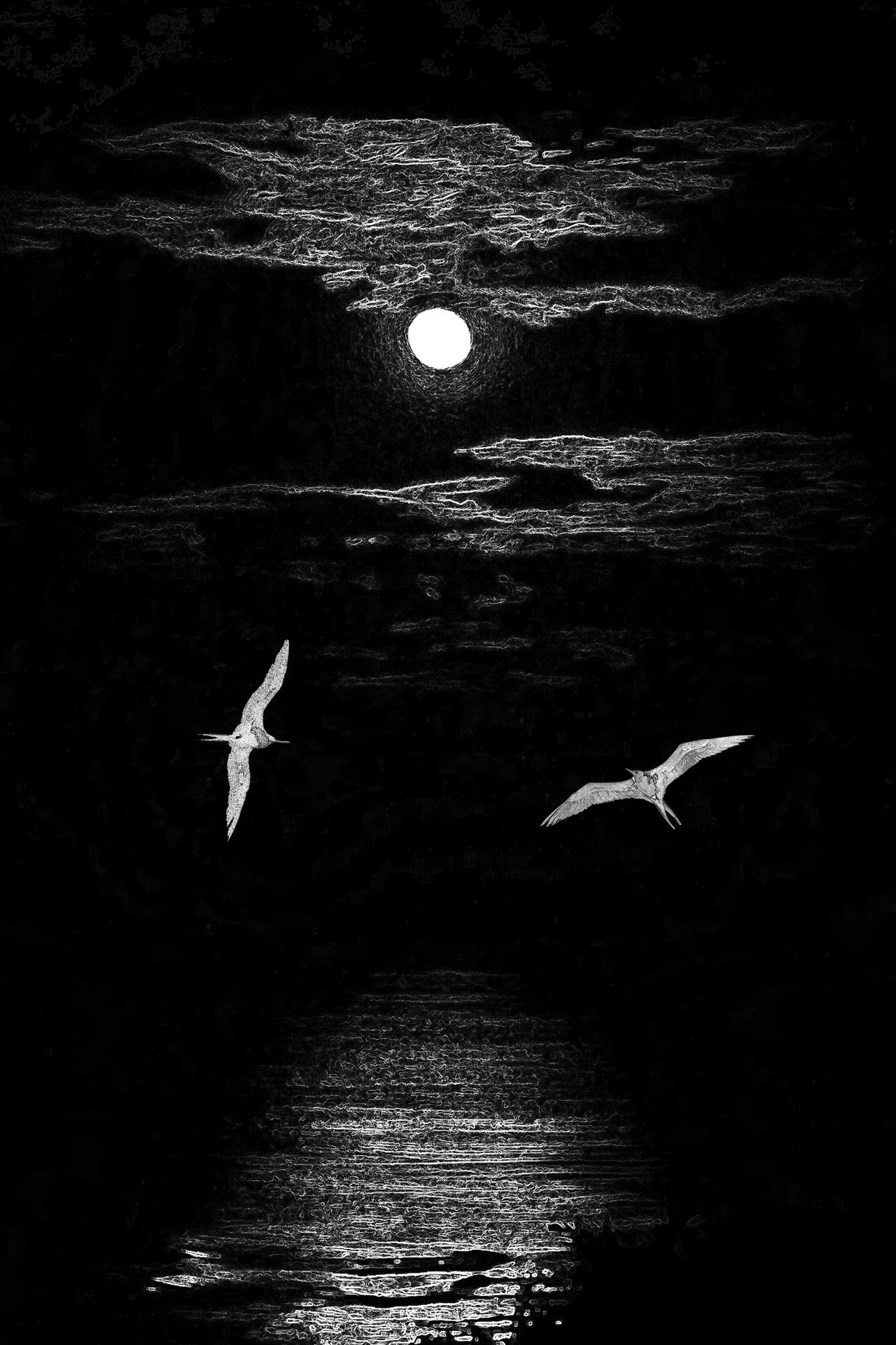 "Soaring in Silence" by Gerrit van Ommering