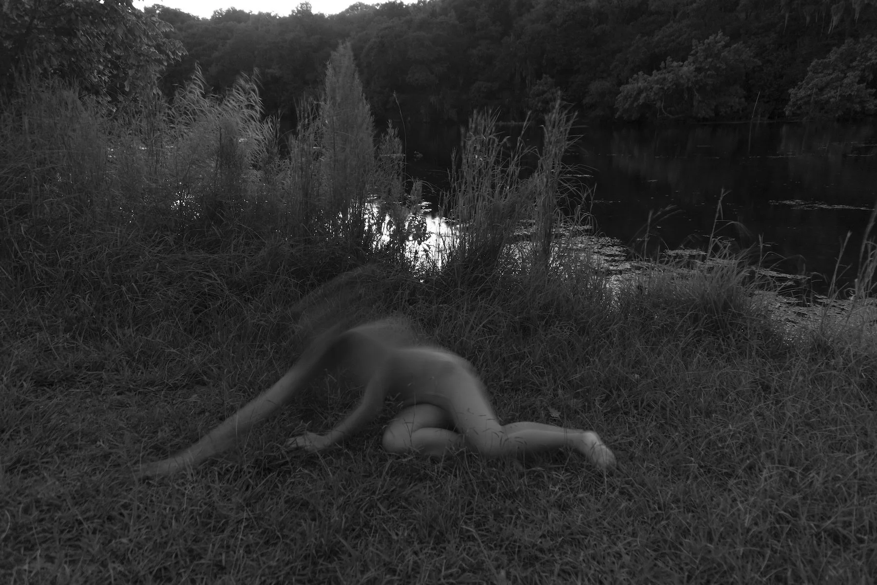 "Encounter" by Lindsey Ledger 