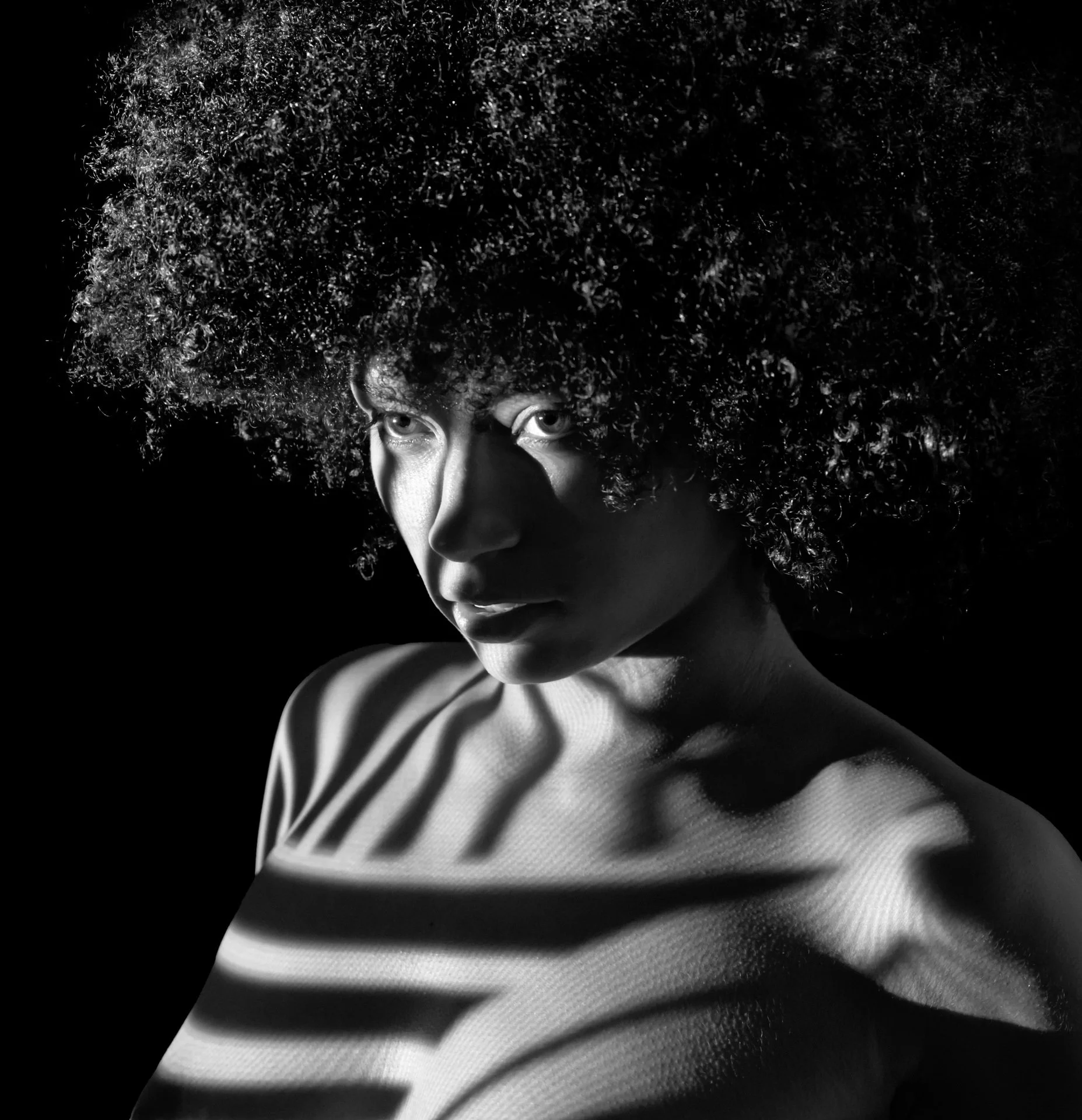 "Aja" by Gary Perlow 