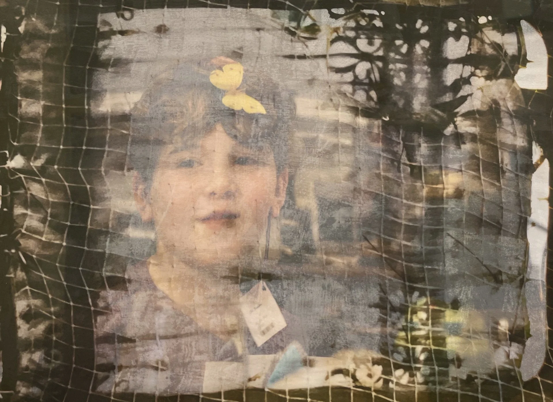 "Alex in Wonderland" by Rebecca Cohen 