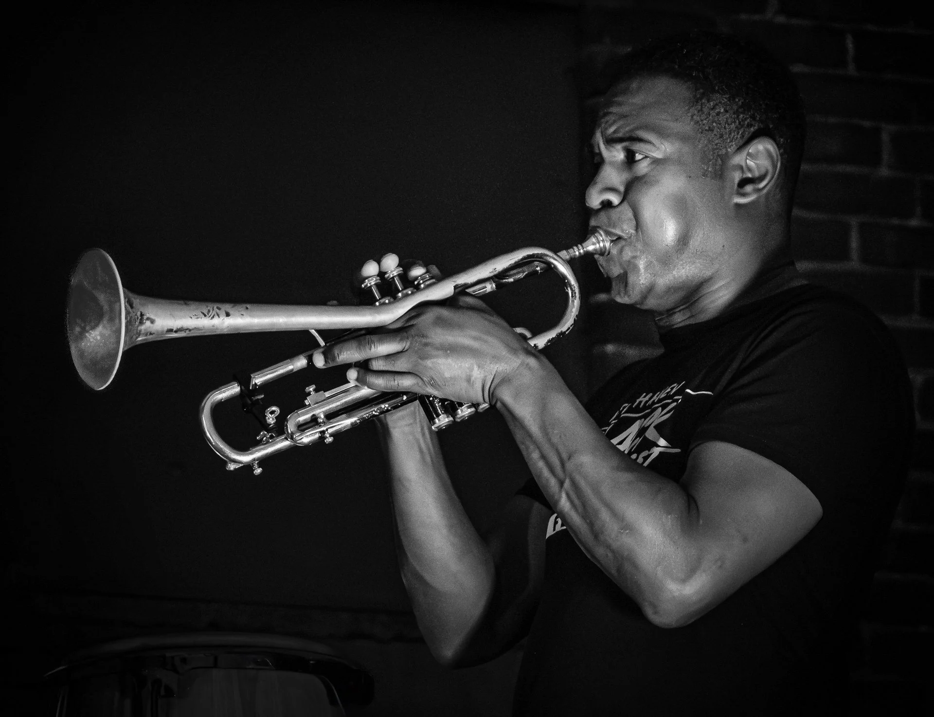 "Horn" by Scott Sewitch 