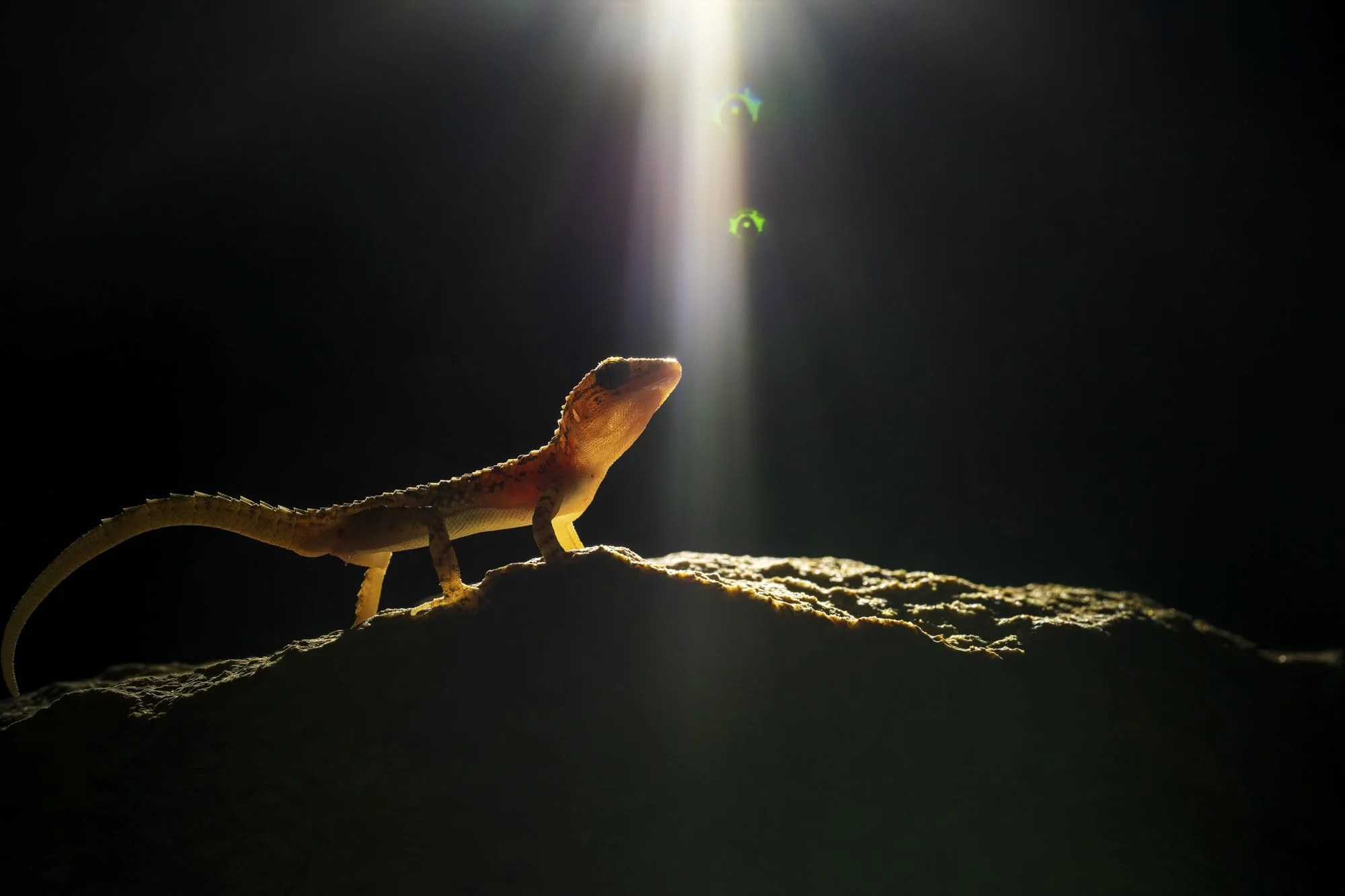 Touched by Light