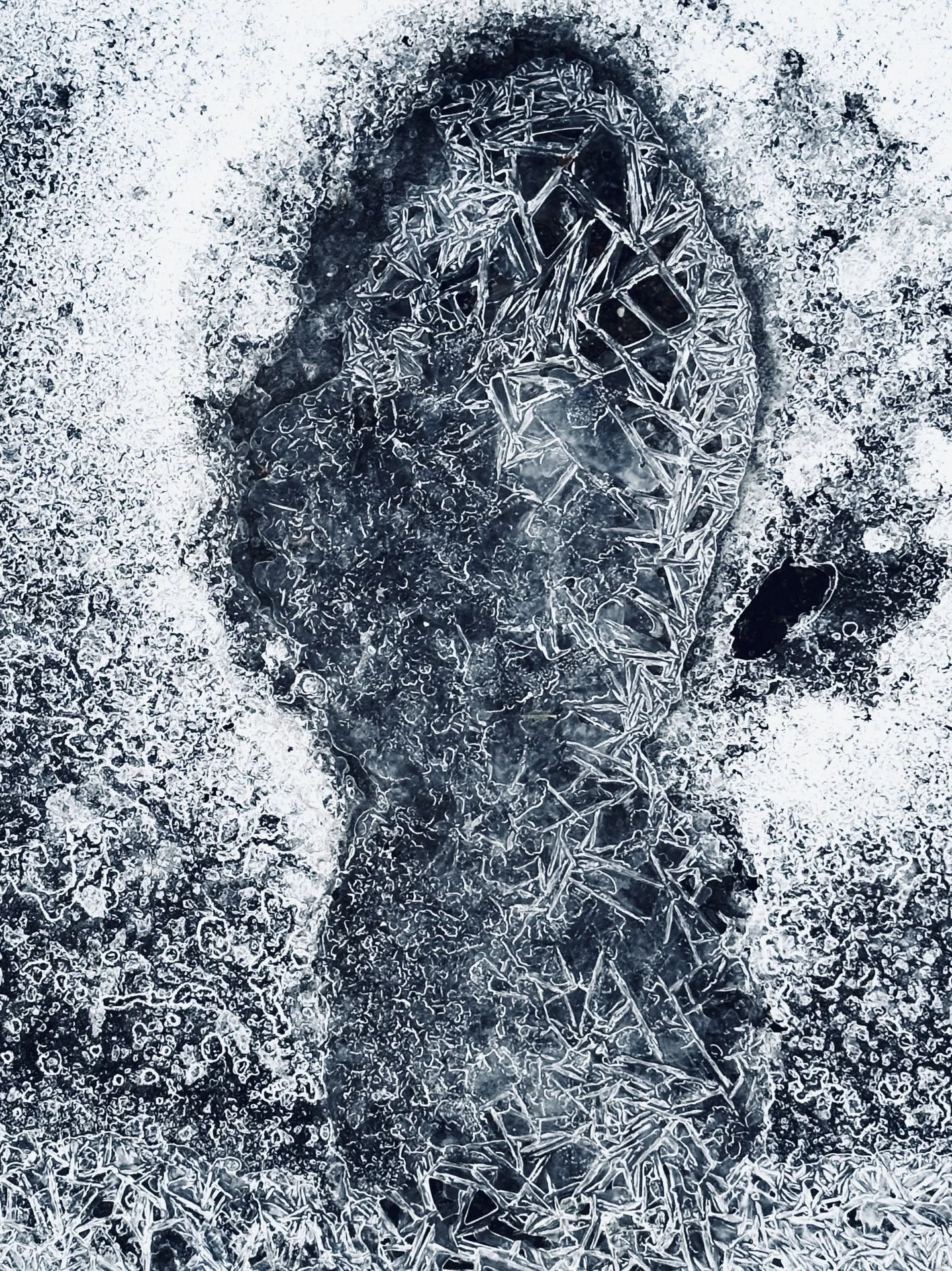 "Fragile" by Kristi Ekern 