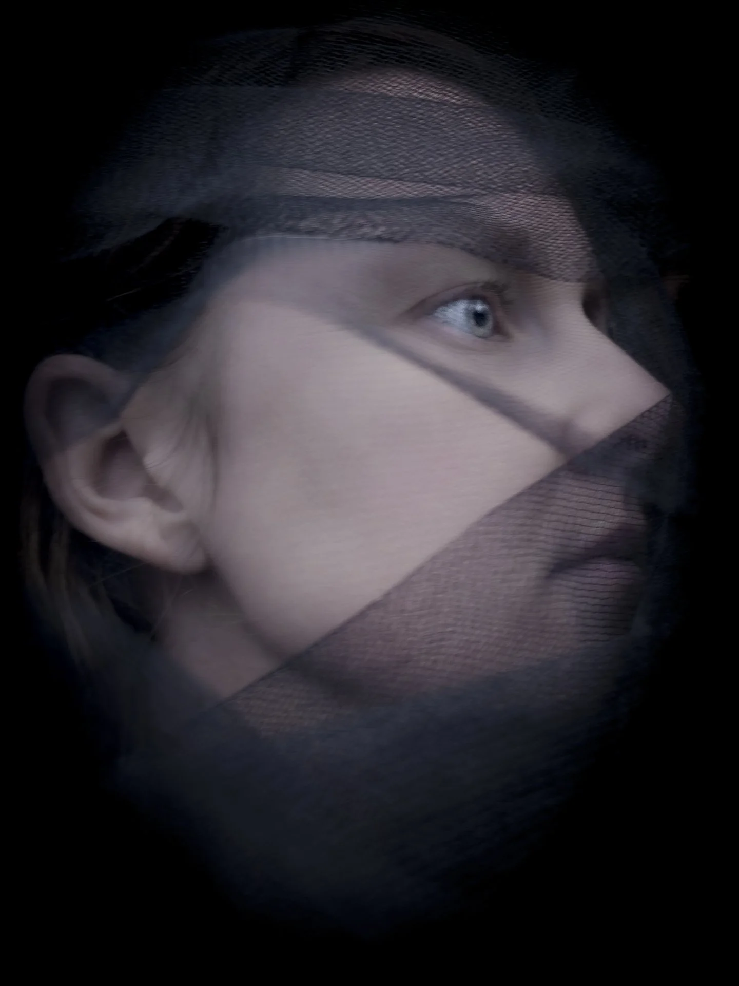 "Ladybird" by Bridget Jourgensen 