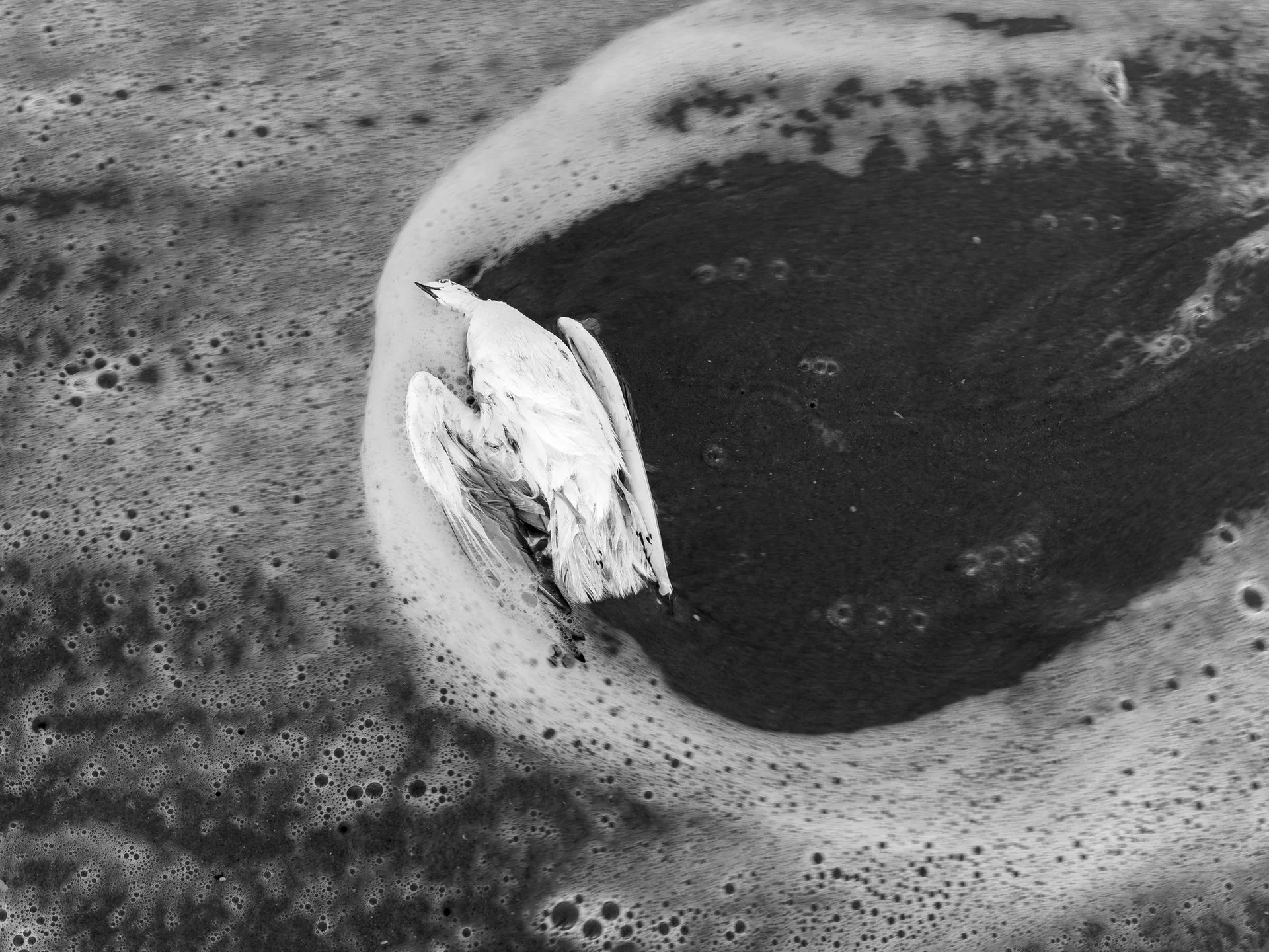 "Cradled" by Jessica Margo 