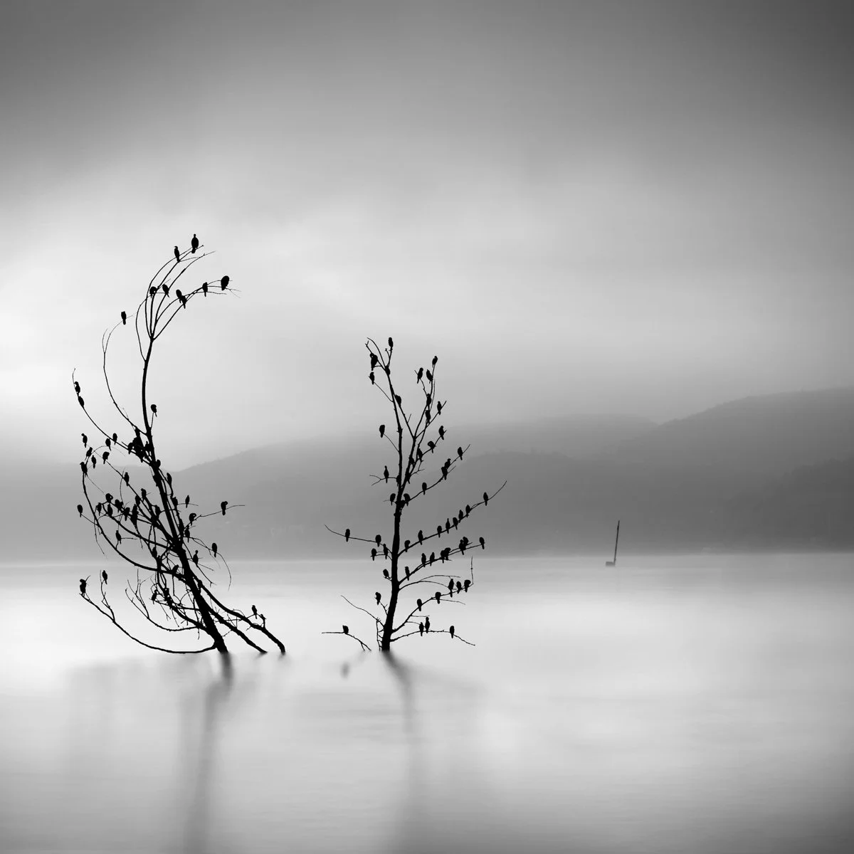 "Ode to Joy" by George Digalakis