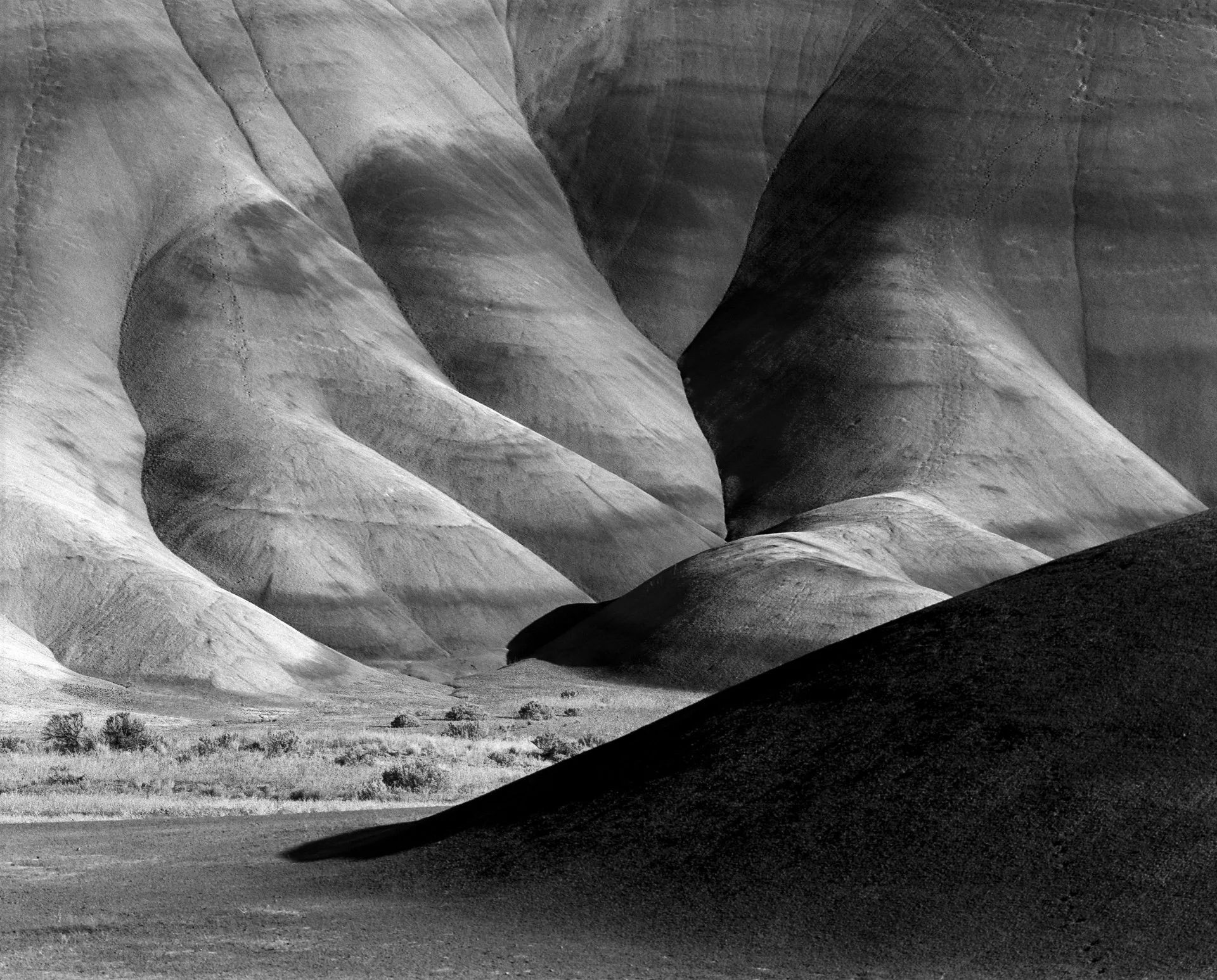 "Talons, Painted Hills" by Jack Straton 
