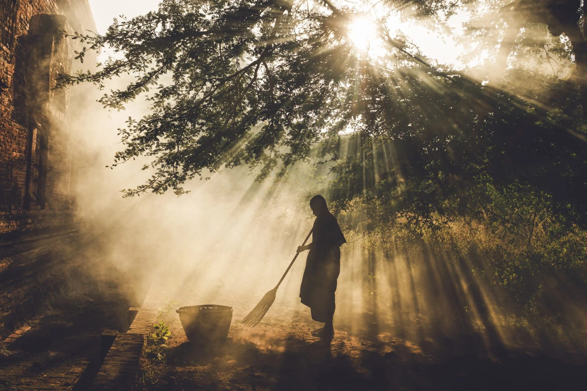 Sweeping Beneath the Sacred Light
