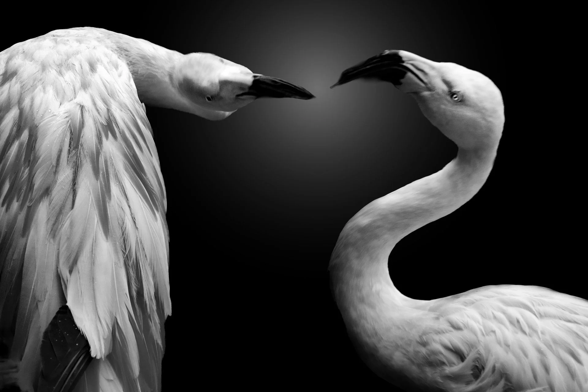 "What Did You Just Call Me?" by Zoey Shen 