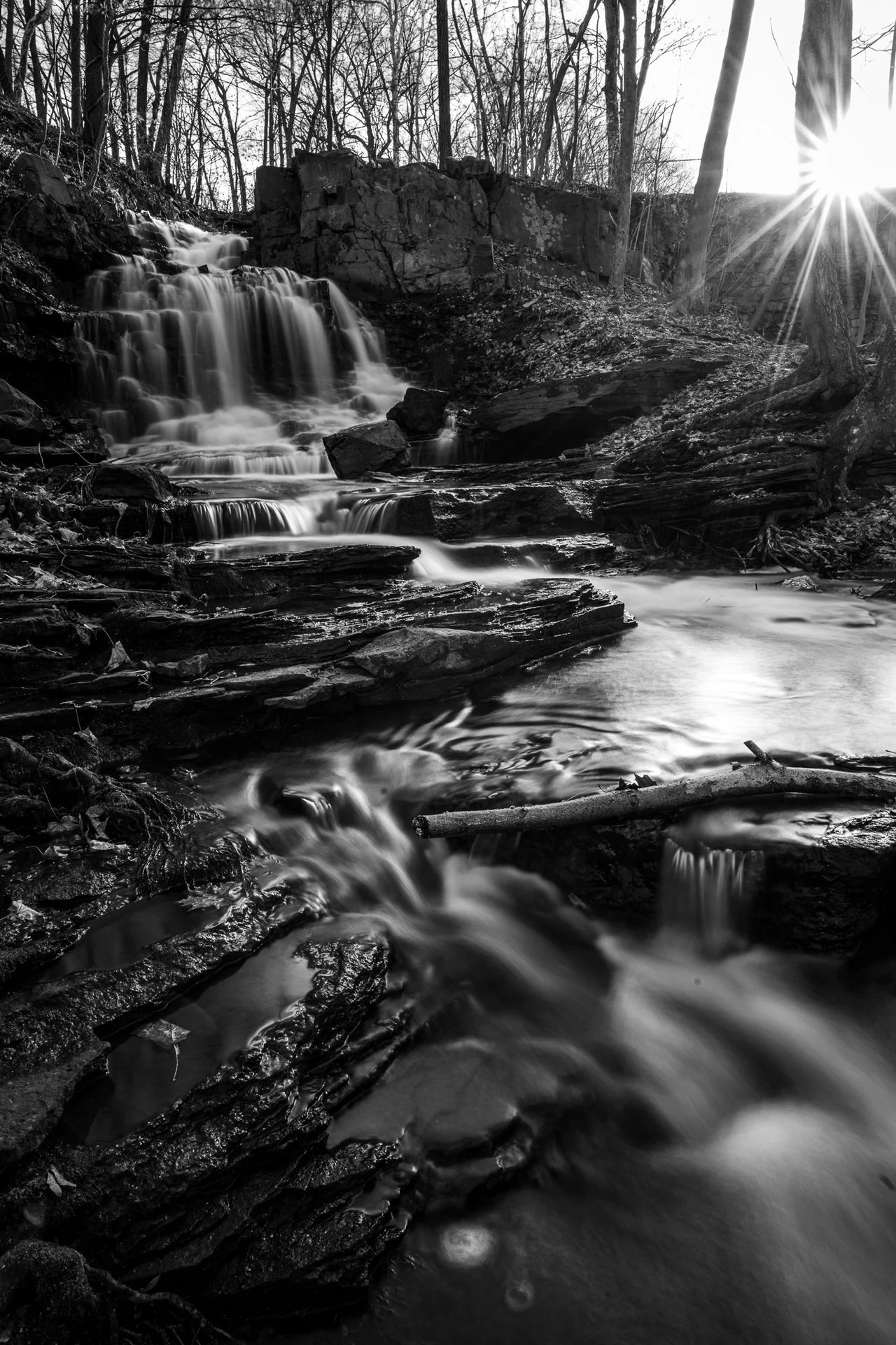 "December Sanctuary" by Lisa Raczka 