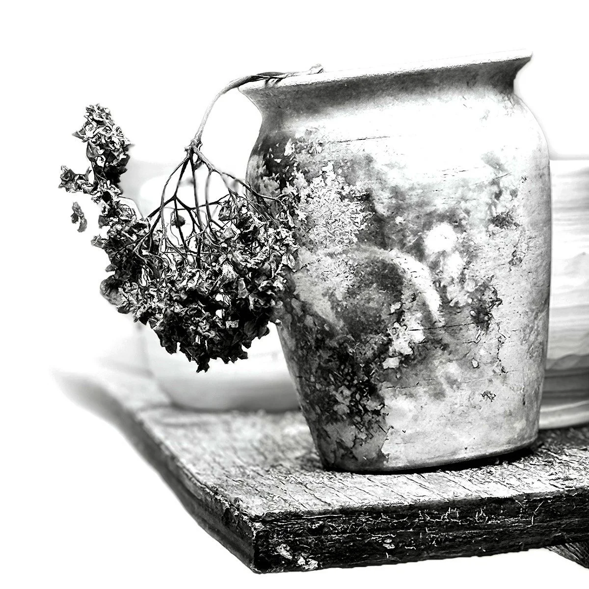 "Aging in Place" by Rebecca Bruyn 