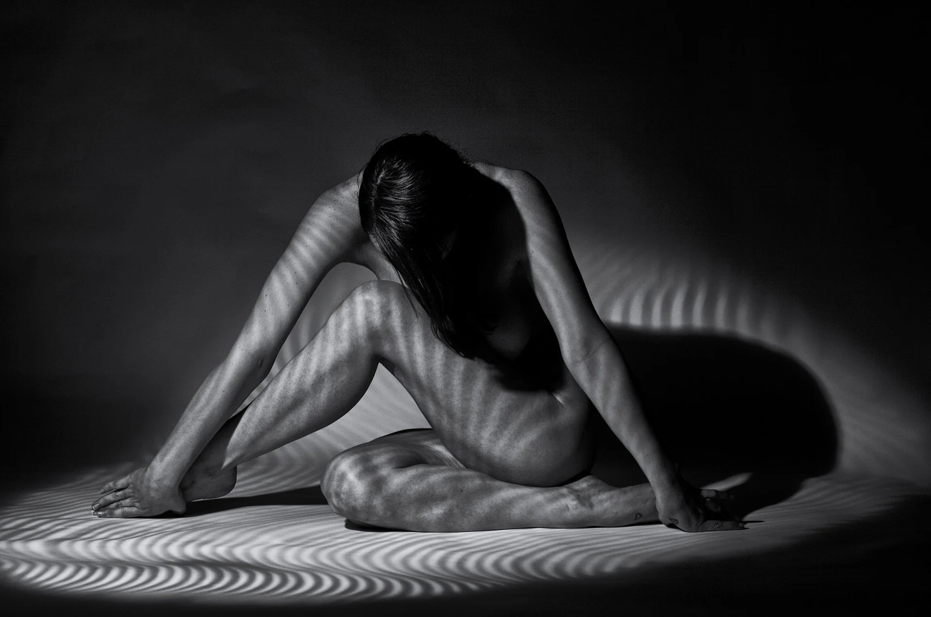 "Lily in the Light" by Mark Sharfman 