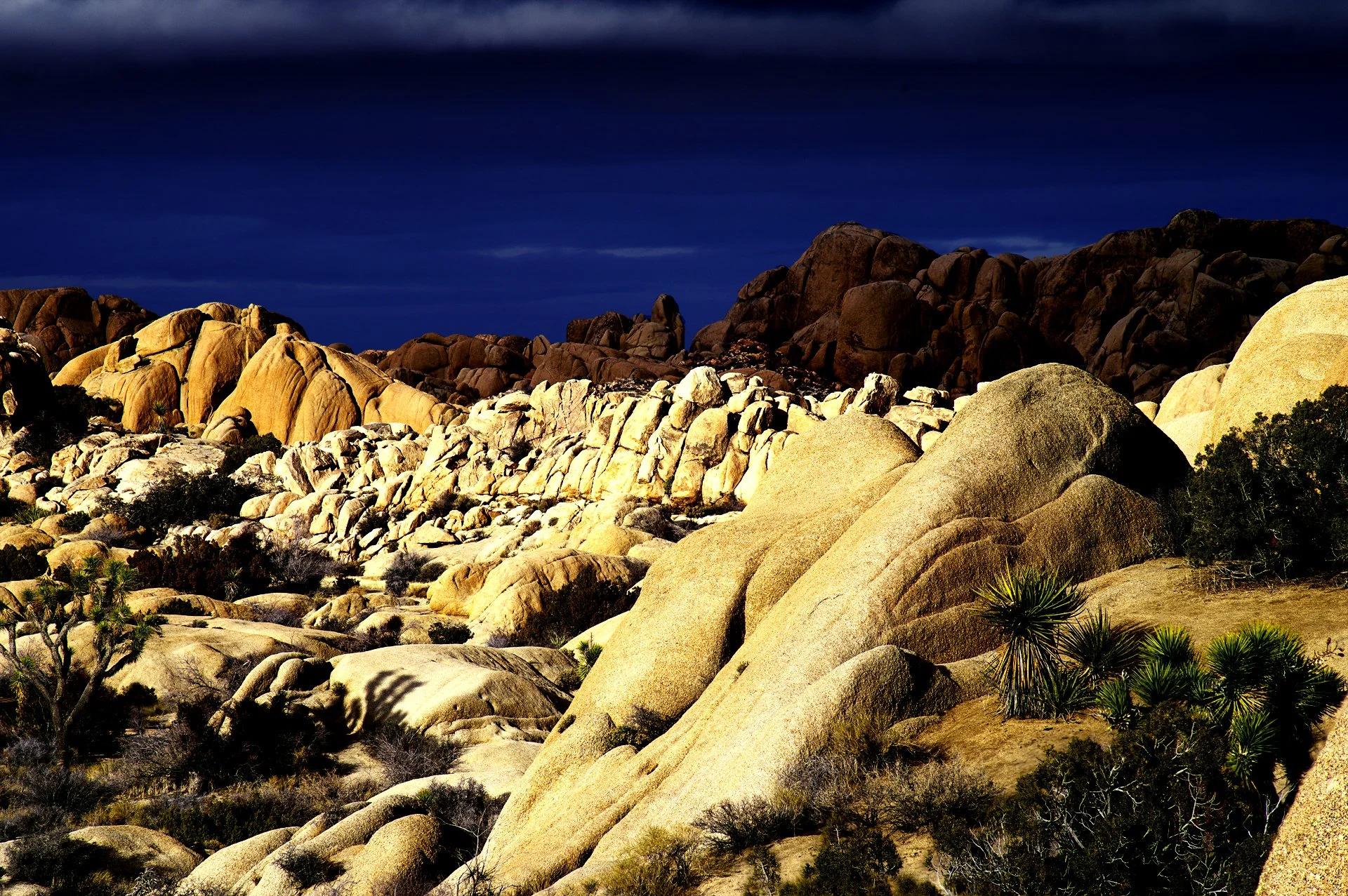 036-Wild_Straton_000061_741012_839711_17699-.jpg