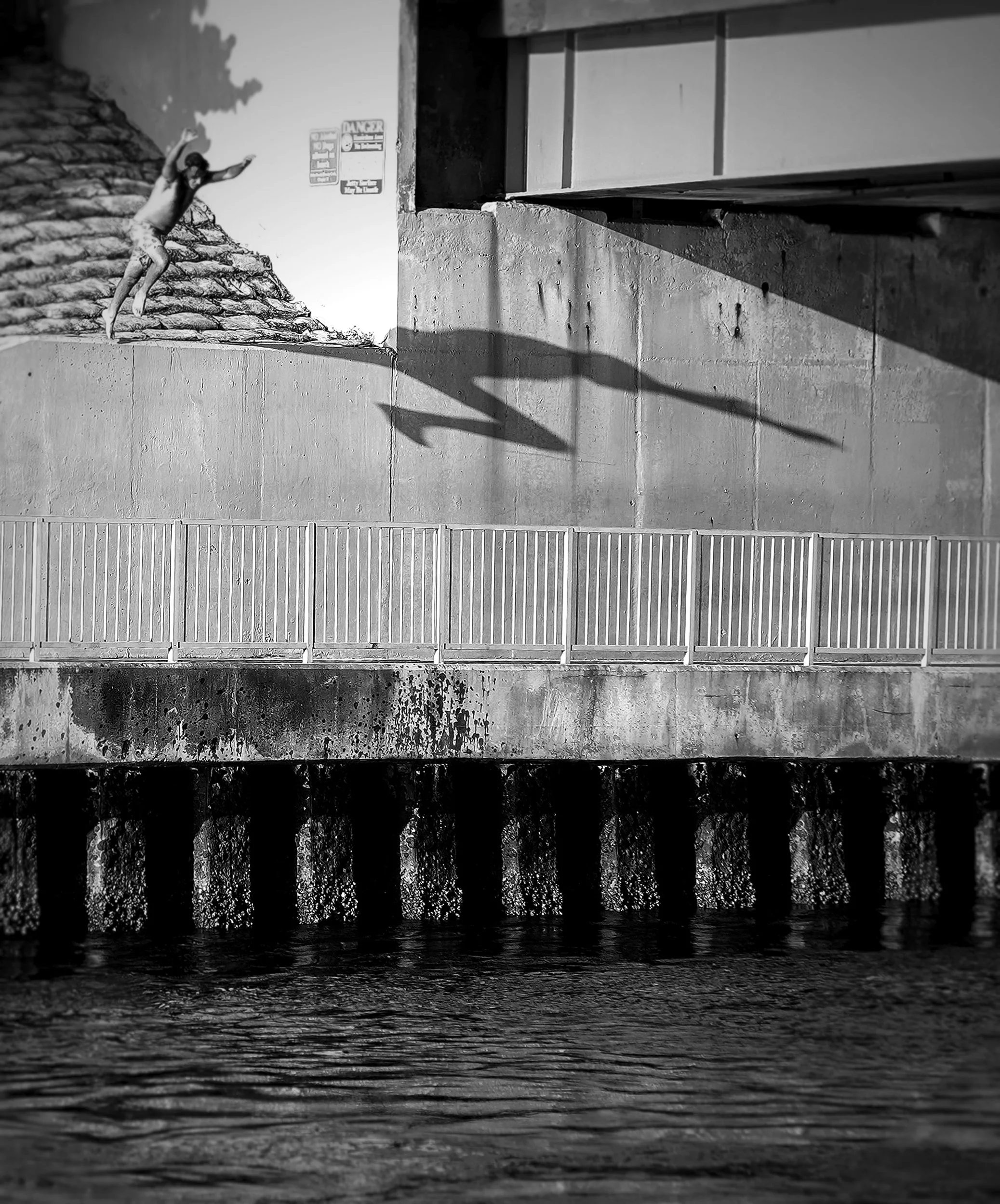 "Shadow Play" by David Cohen