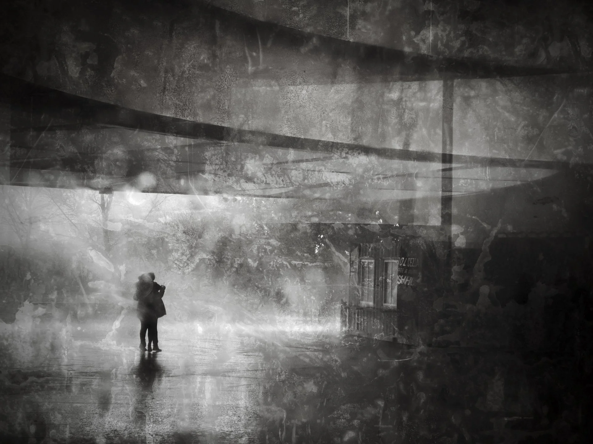 "Seeking Shelter" by Melanie Hauer 