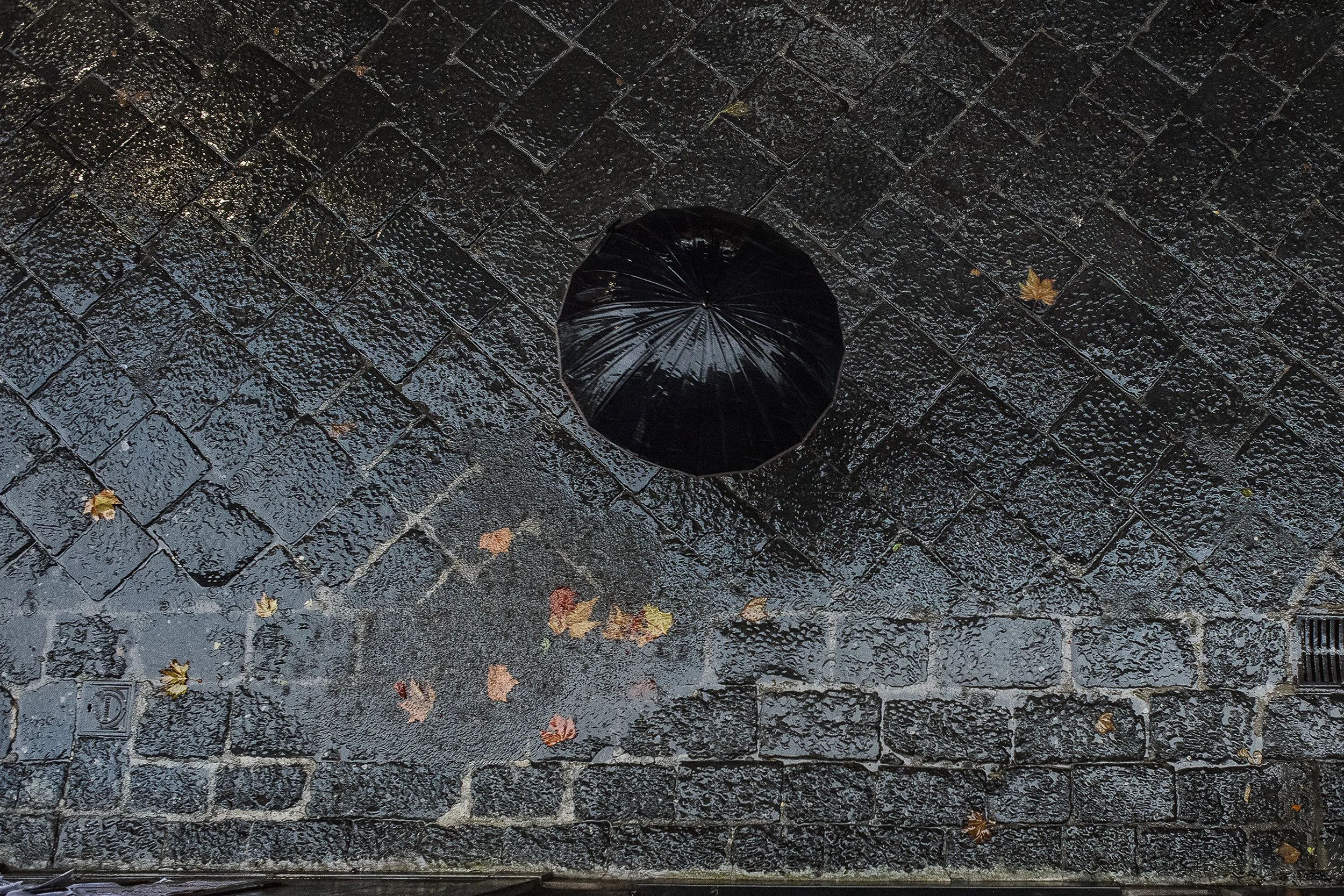 "Rainy Days" by by Lello D'Anna