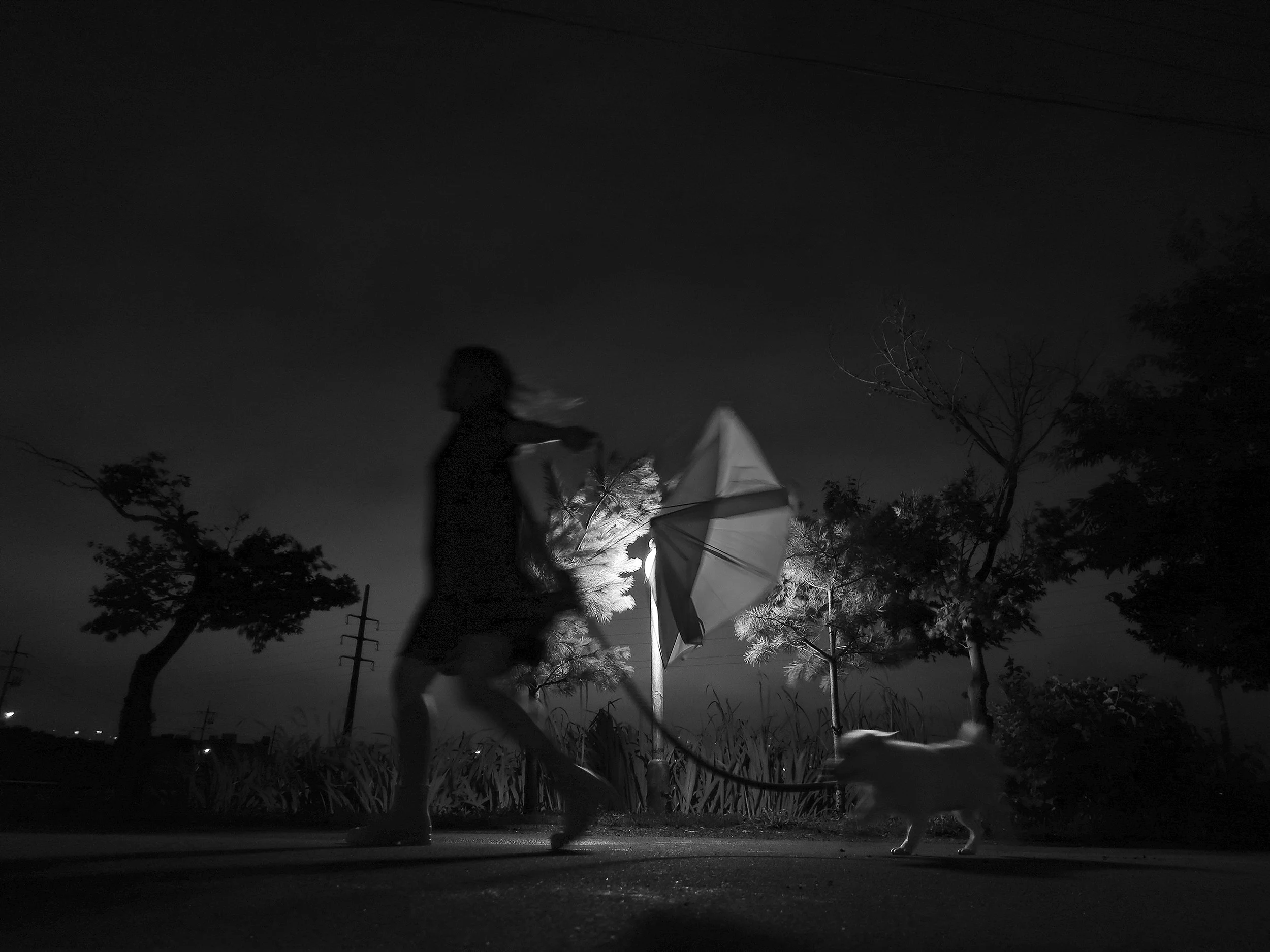 "Night Walk" by  Eunjung Park