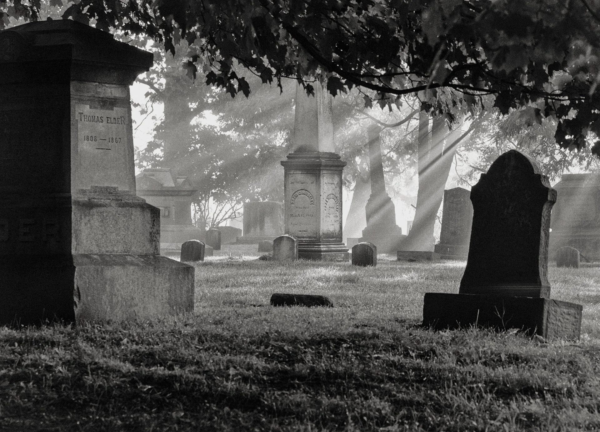 "In Granite Laid" by John Diephouse 