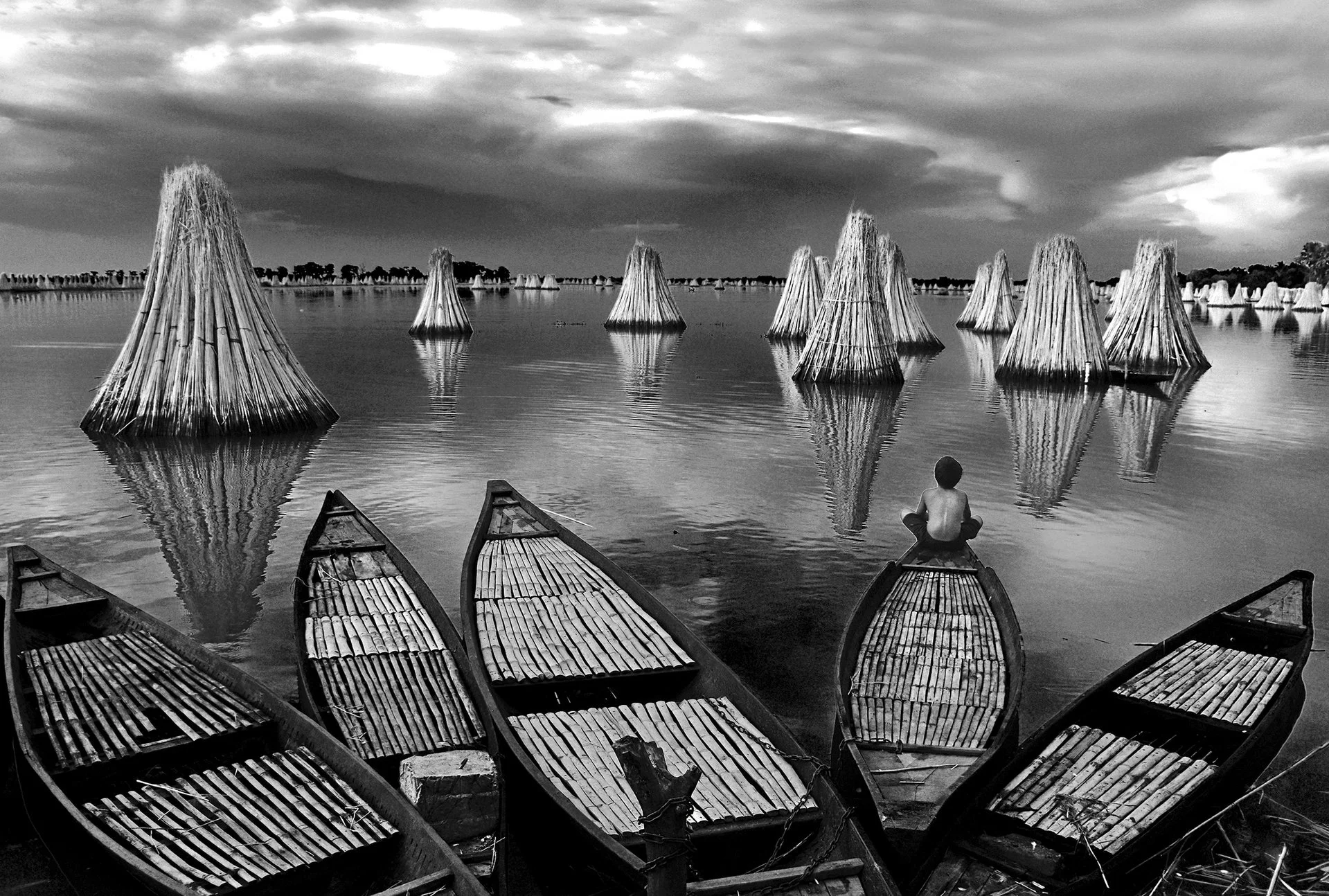 1st Place--"Lonely" by Chinmoy Biswas