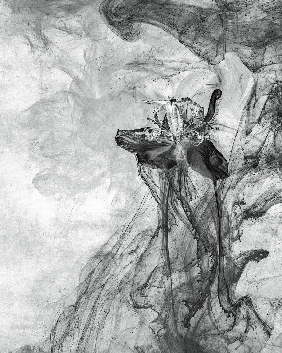 "From the Series Submerged: Must Be The Season Of The Witch" by Barbara Brundage