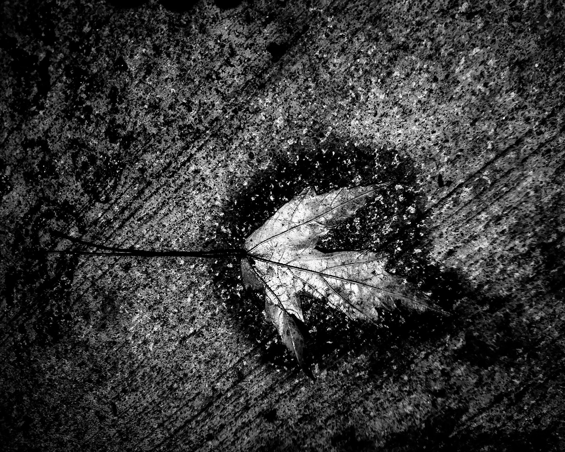 "Even Now" by Louis Staeble 