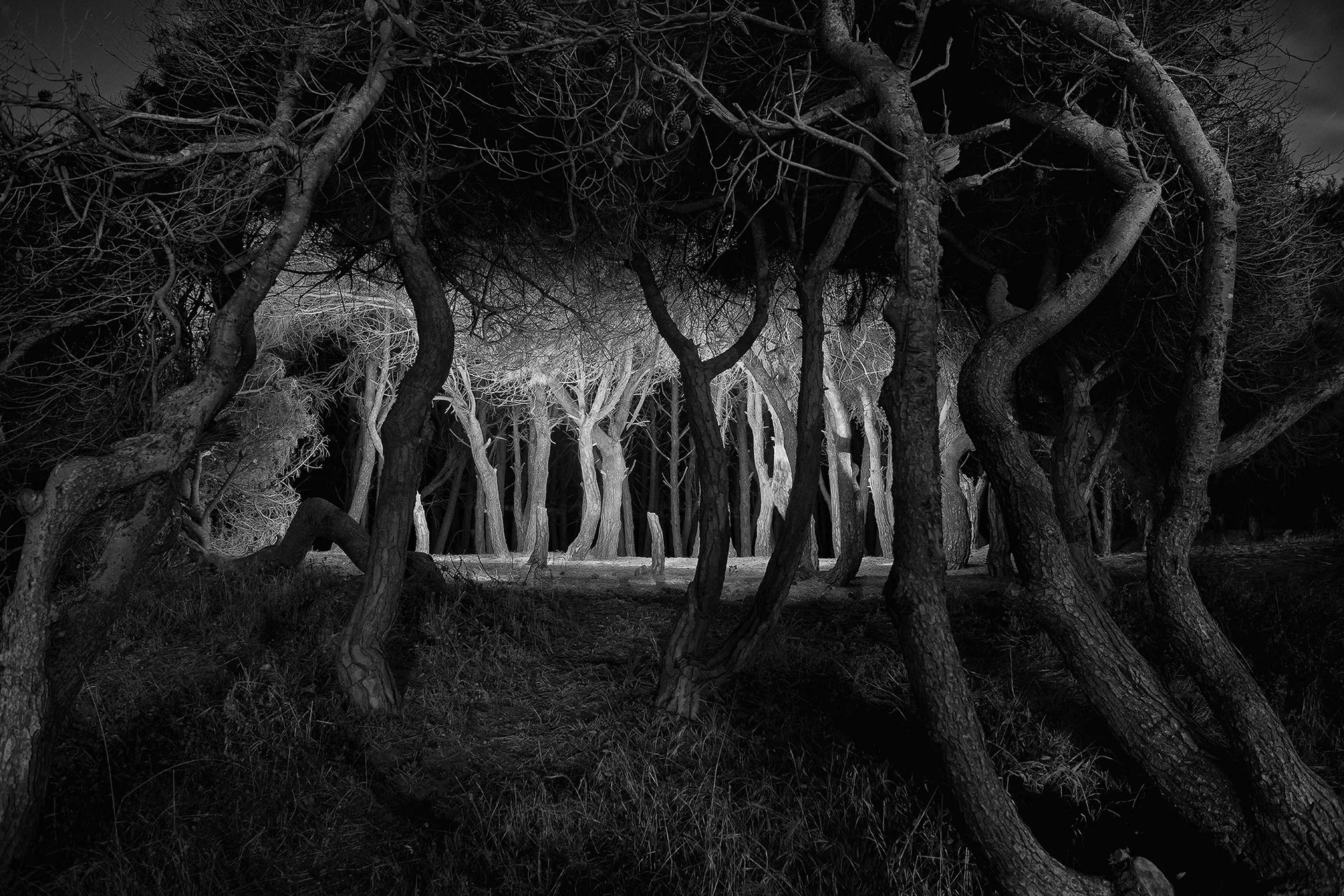 "Shelter" by Lello D’Anna 