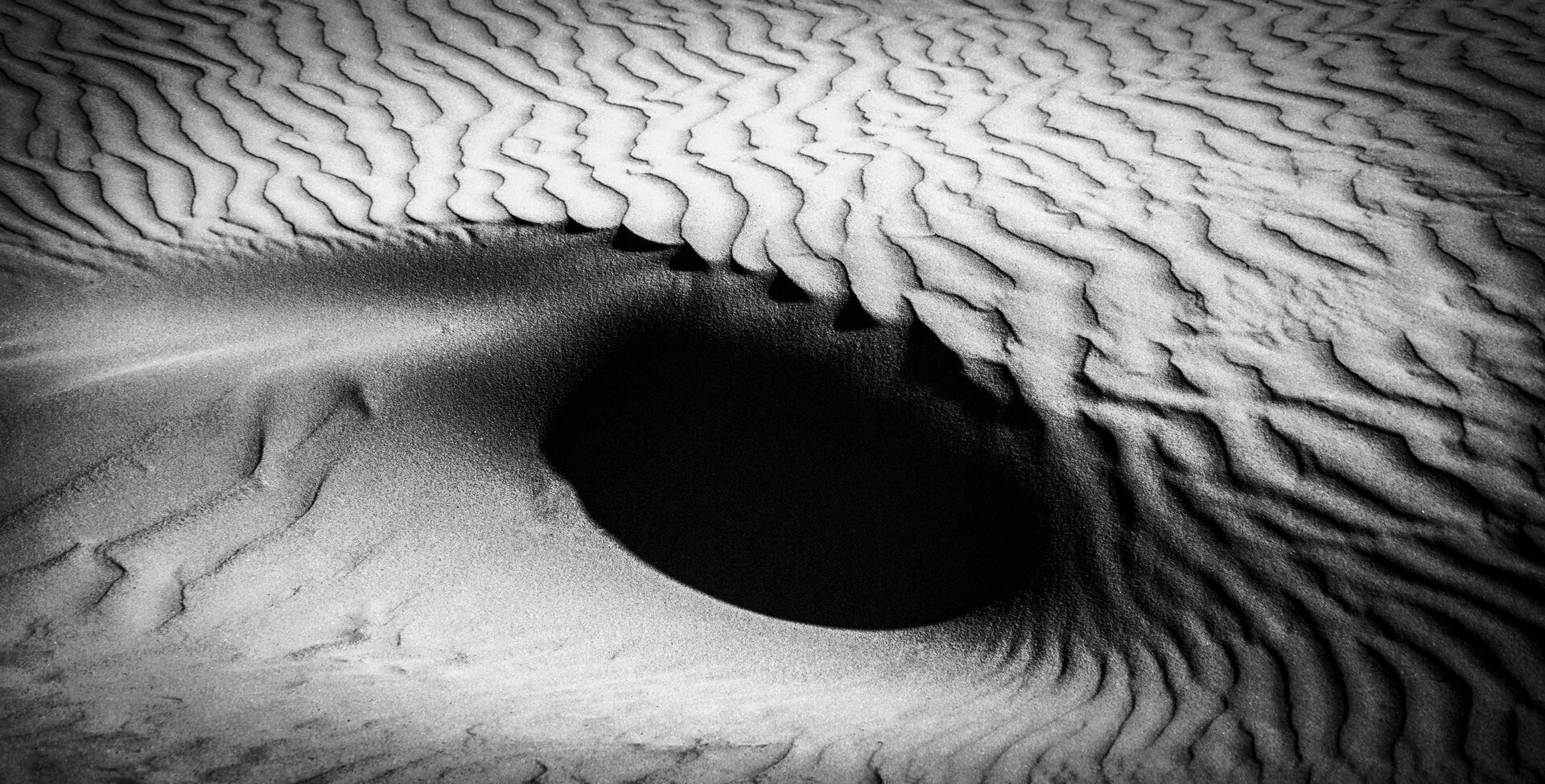 013-Wild_Geer_000019_739223_584406_17699-.jpg