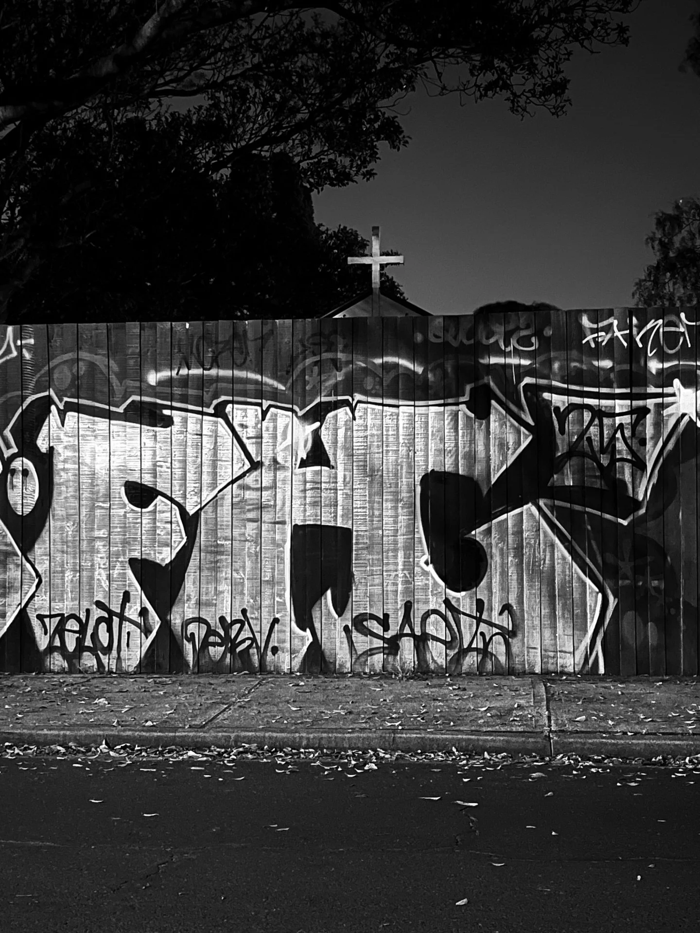 "The Cross" by Anu Blaha 