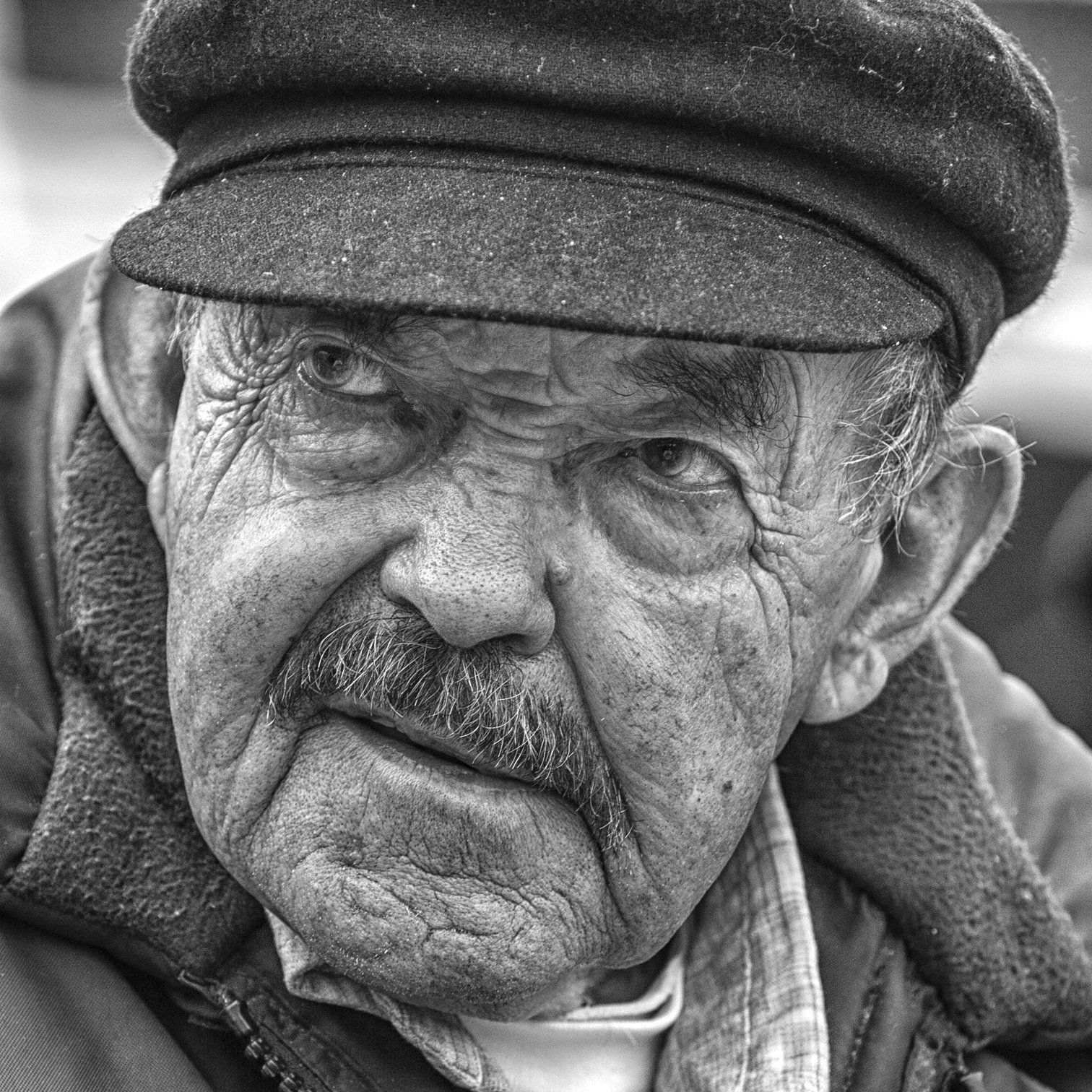 "Old Salt Spins Tales" by John Diephouse 