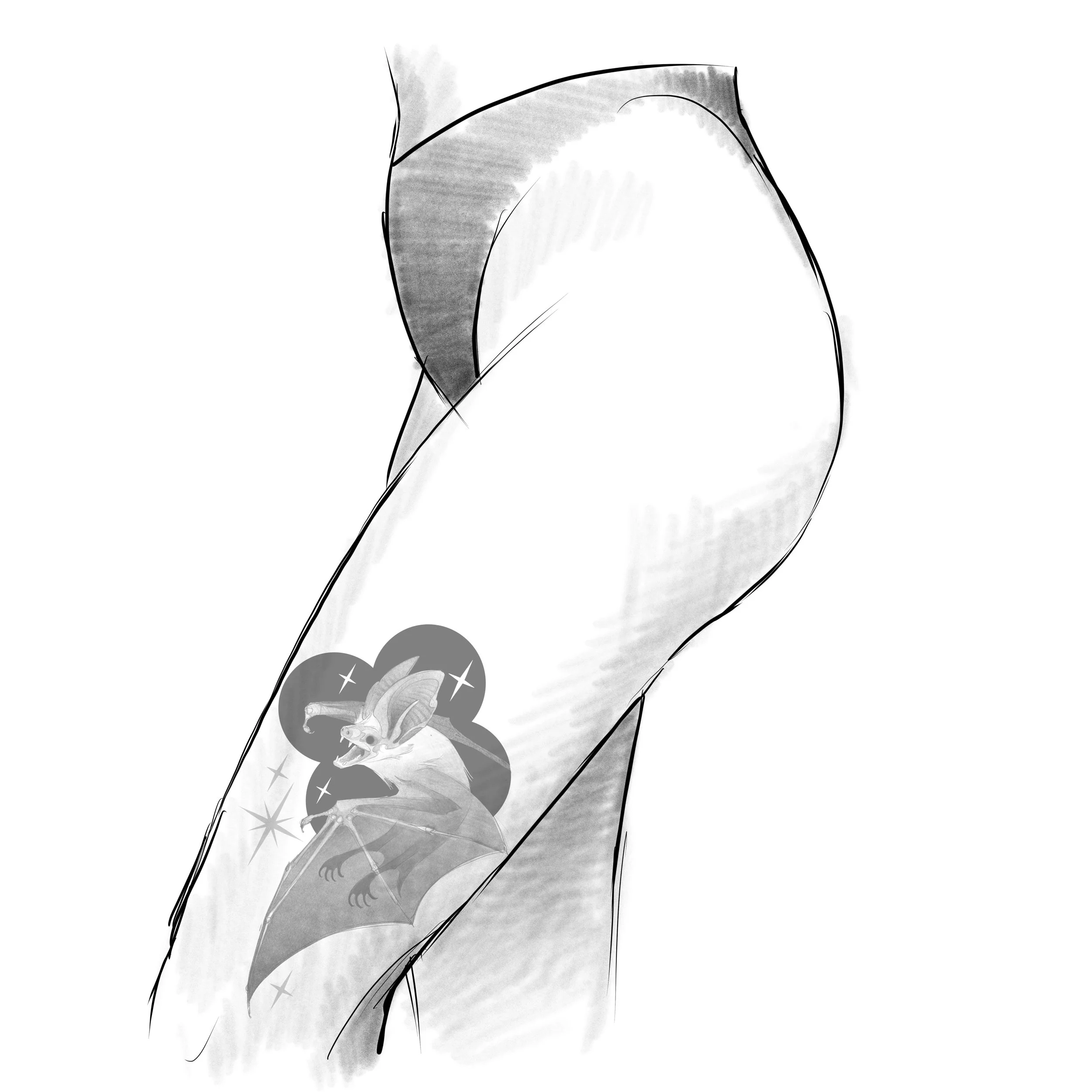 Quatrefoil Bat 6.JPG