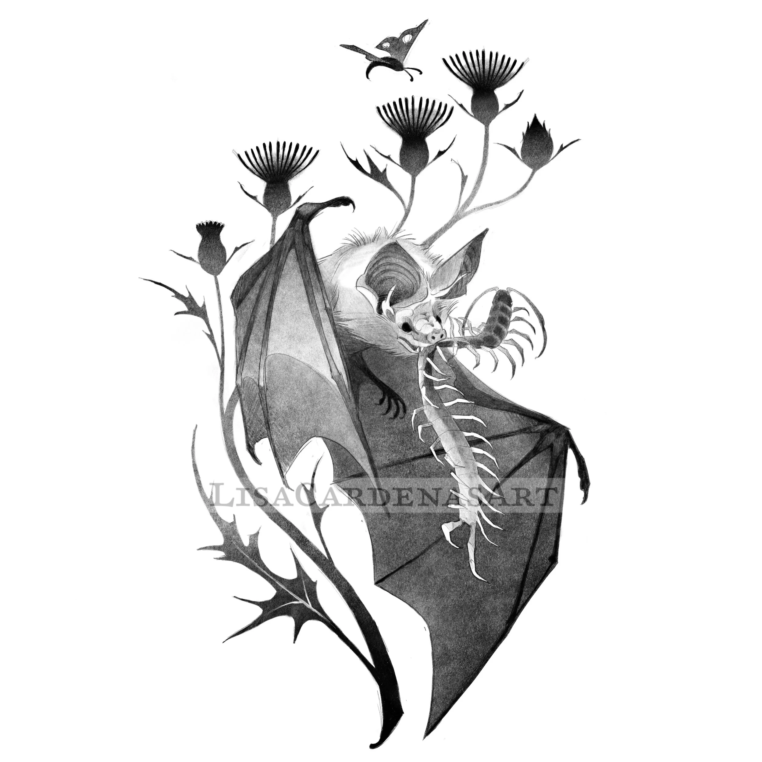 Bat w Centipede 2.JPG