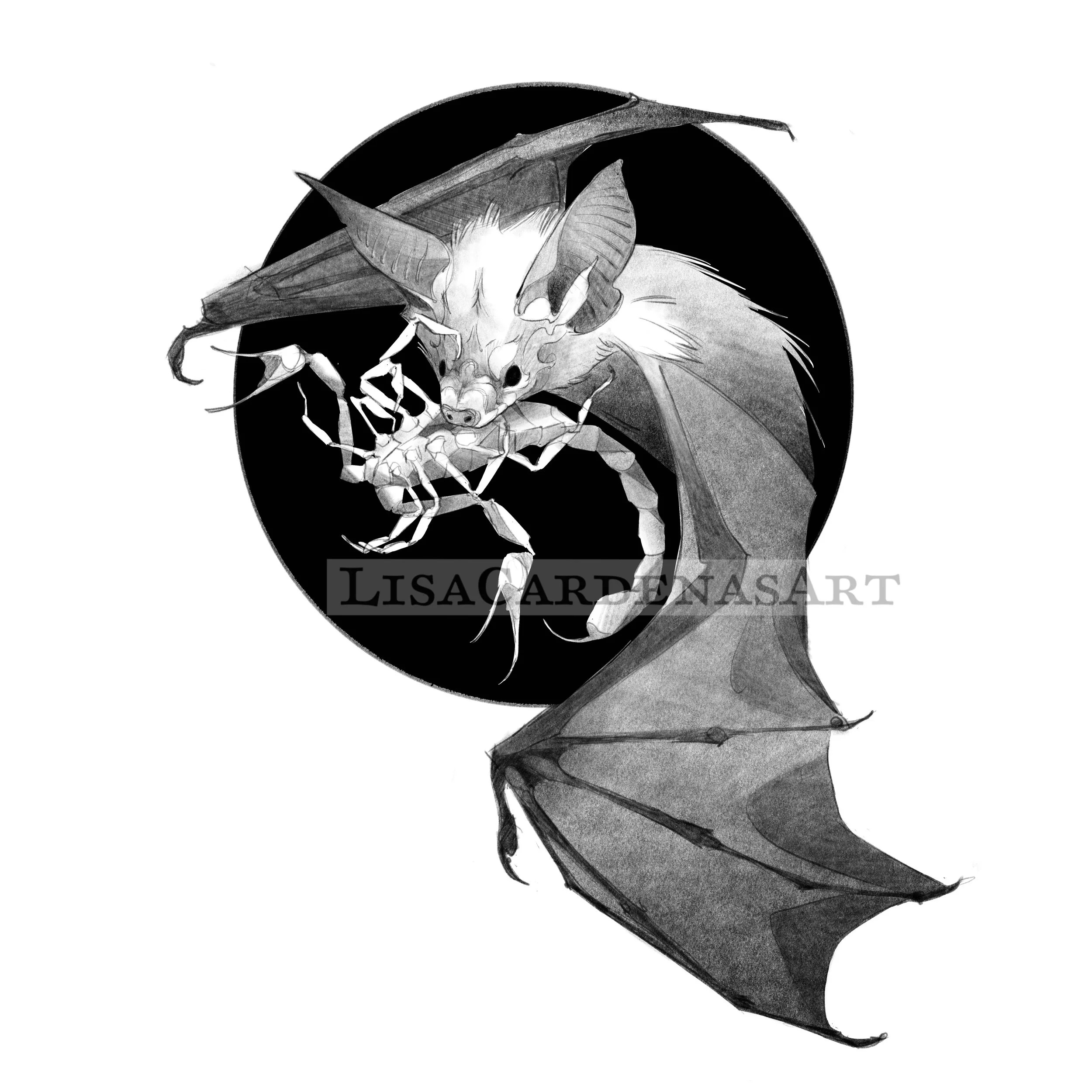 Bat w Scorpion A 2.JPG