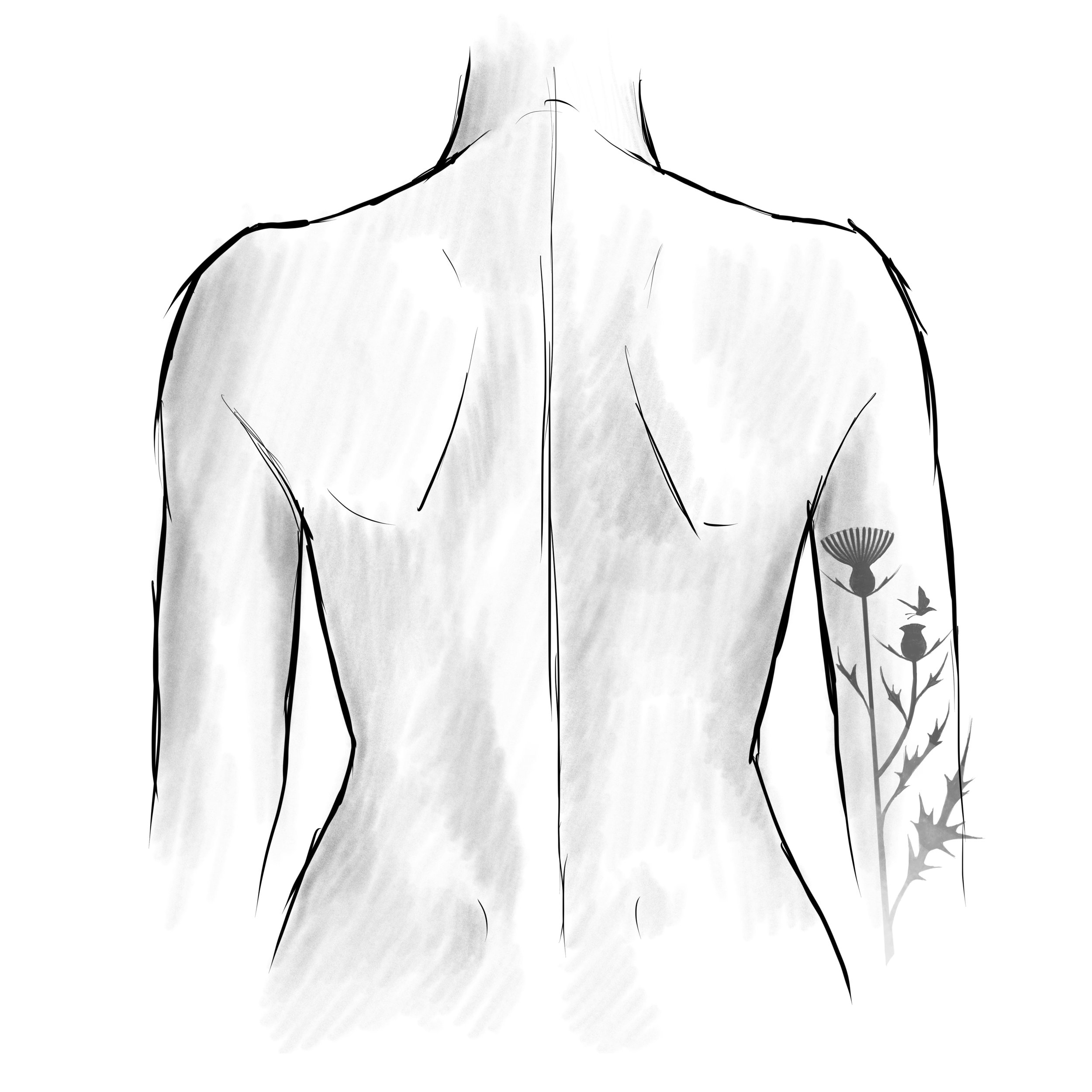 Thistle Motif 6.JPG